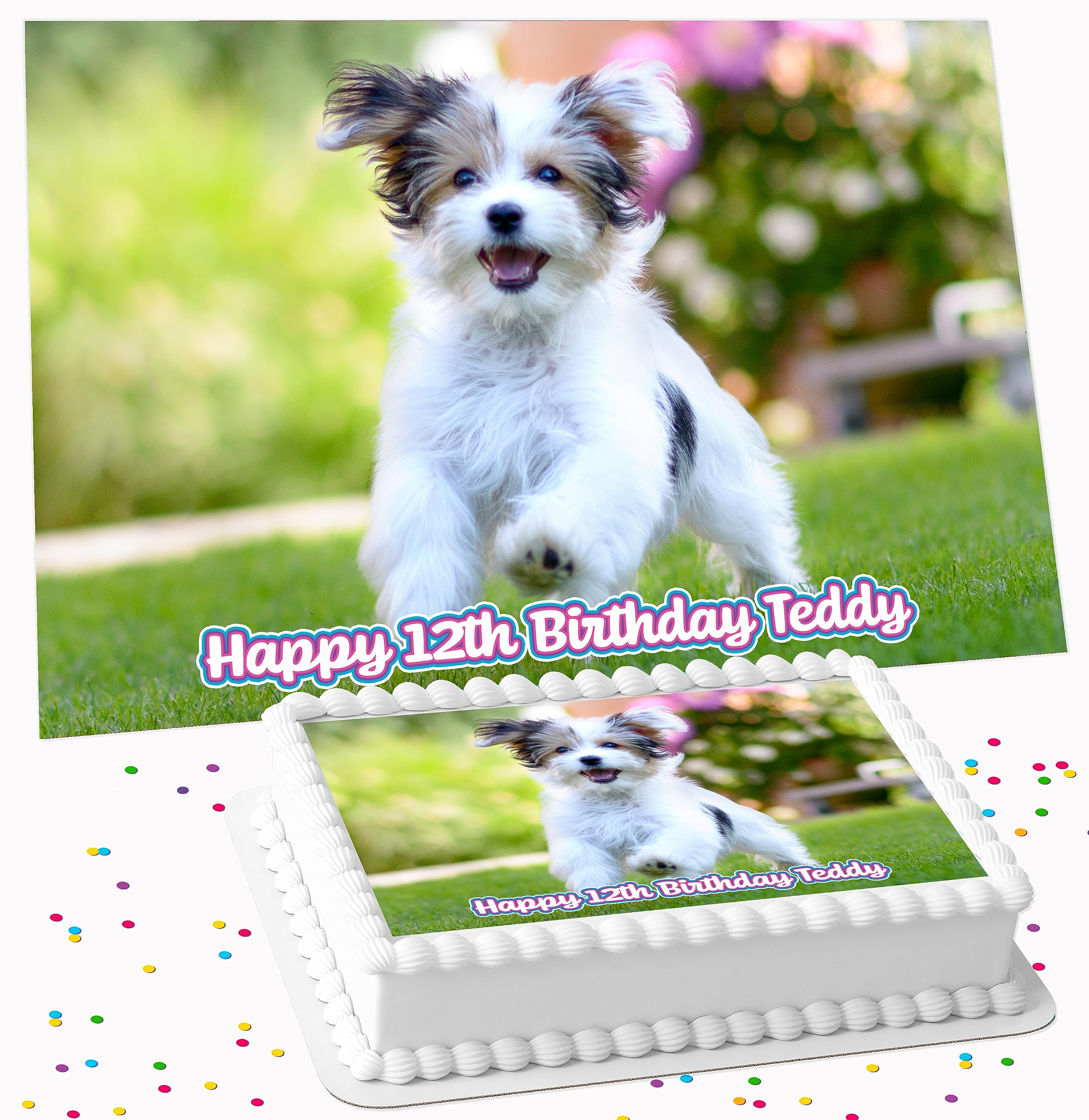 YOUR OWN PHOTO IMAGE BIRTHDAY PARTY ICING EDIBLE LARGE CAKE TOPPER DECORATION SUITABLE FOR USE ON COSTCO CAKE