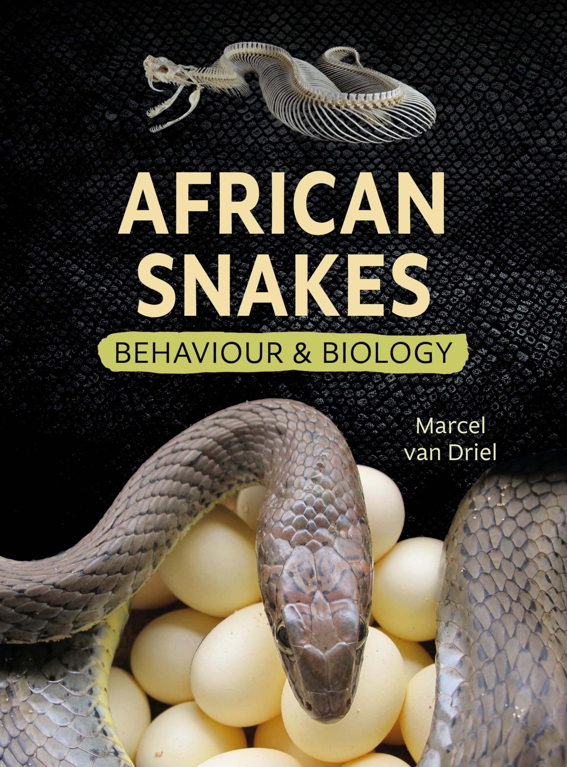 African Snakes: Behaviour and Biology