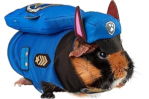 Skye Paw Patrol Dog Costume