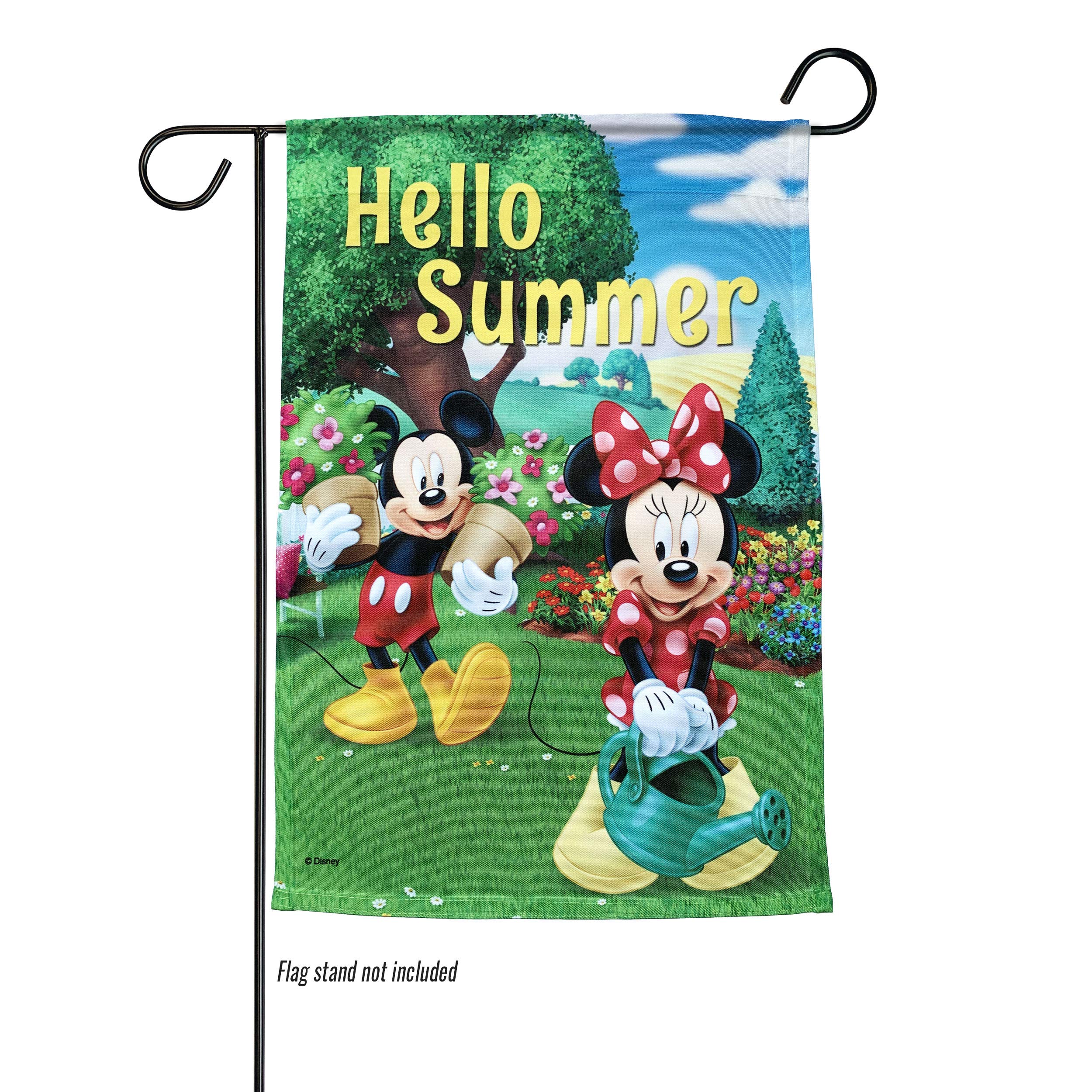 Amazon.com : Backyard Glory Disney Mickey and Minnie Mouse Hello