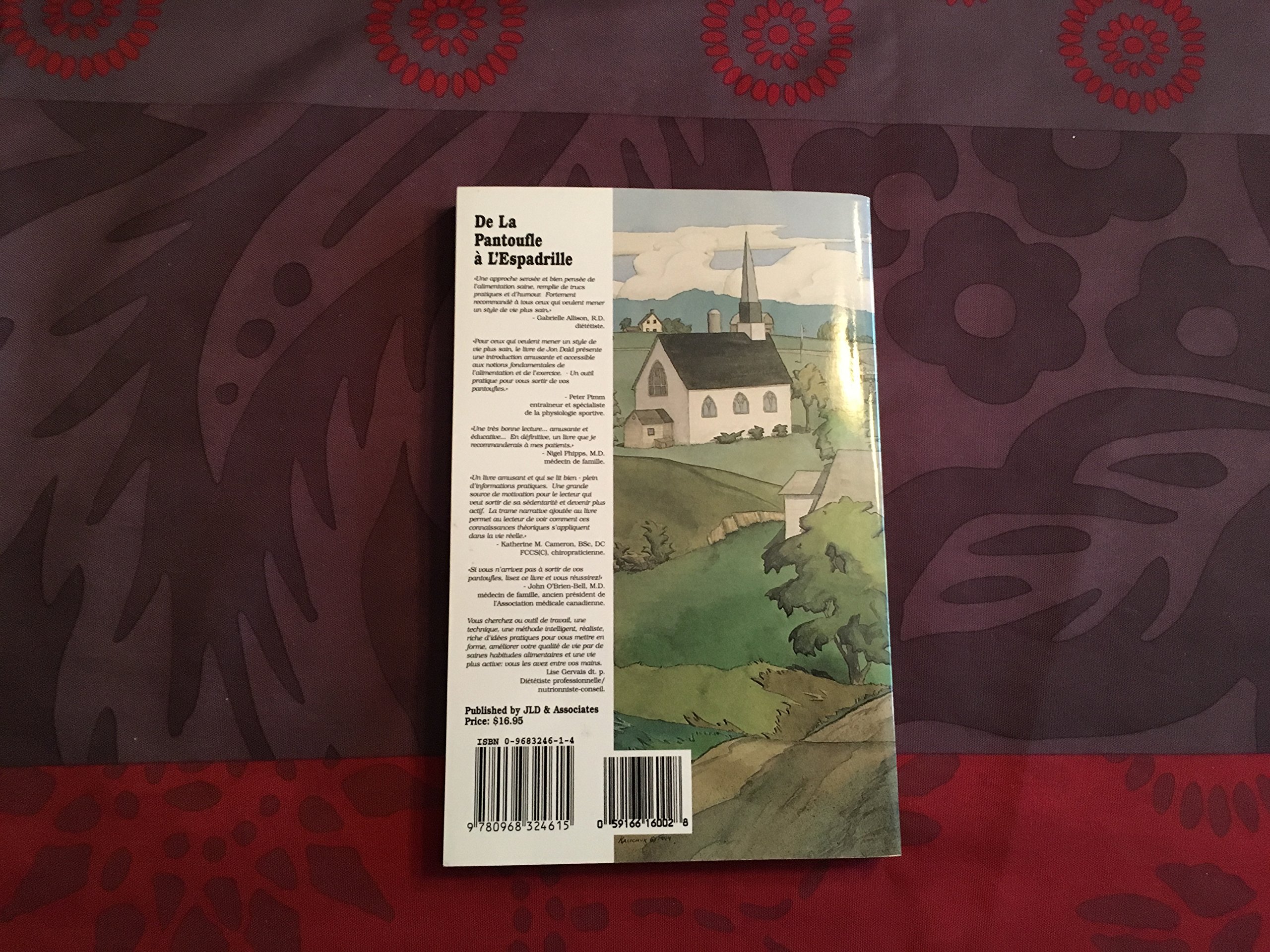 De la pantoufle à l'espadrille : quelques outils et connaissances utiles pour mener une vie plus active [Paperback] Jon Dald and Jld &. Associates