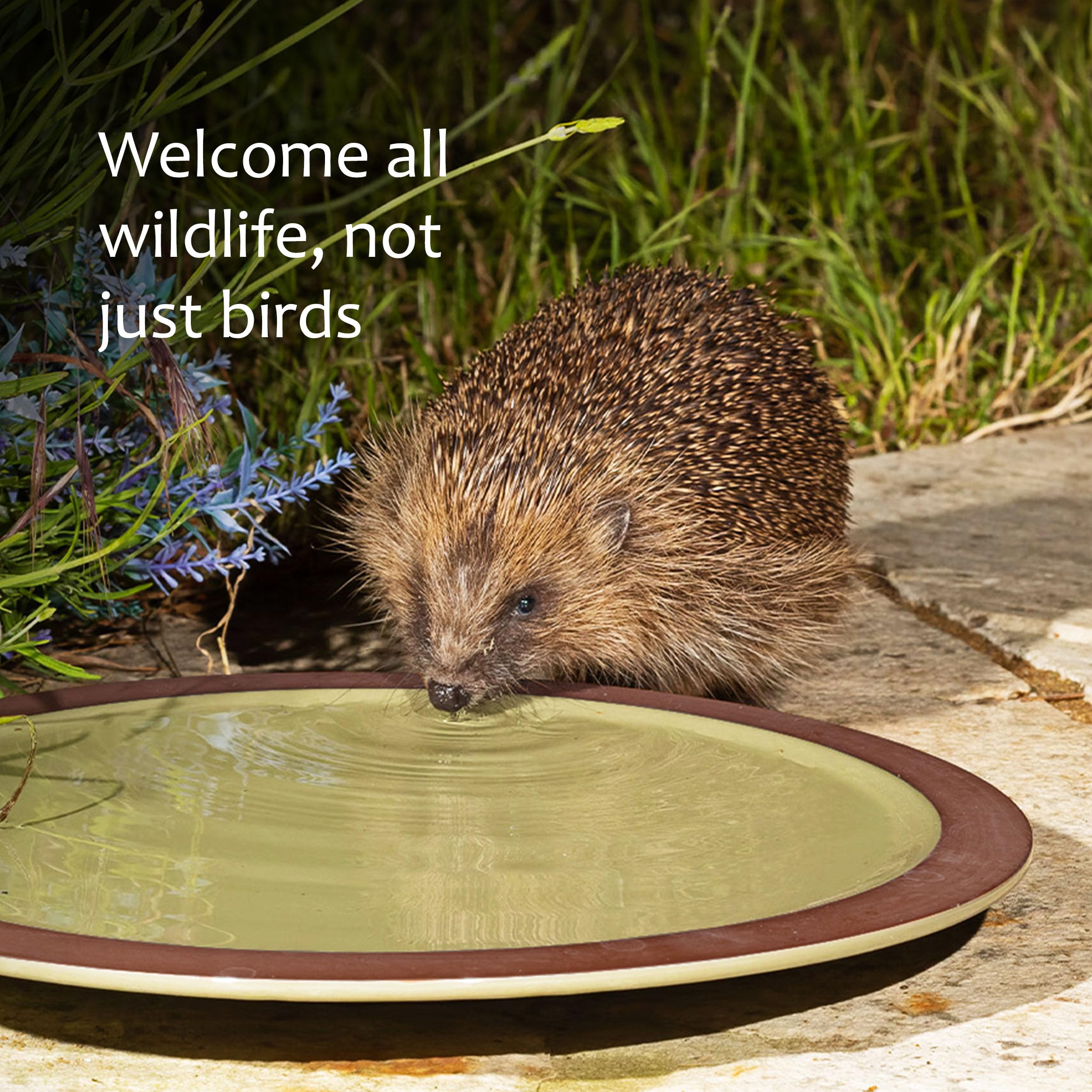 Jacobi Jayne Vogeltränke für Gartenvögel Anyplace™ Vogeltränke - Keramik Garten Vogeltränke und Wildtiertränke - Perfekte Vogeltränke für Garten Vogelwasserspender und Vogeltränke Schale Vogeltränke