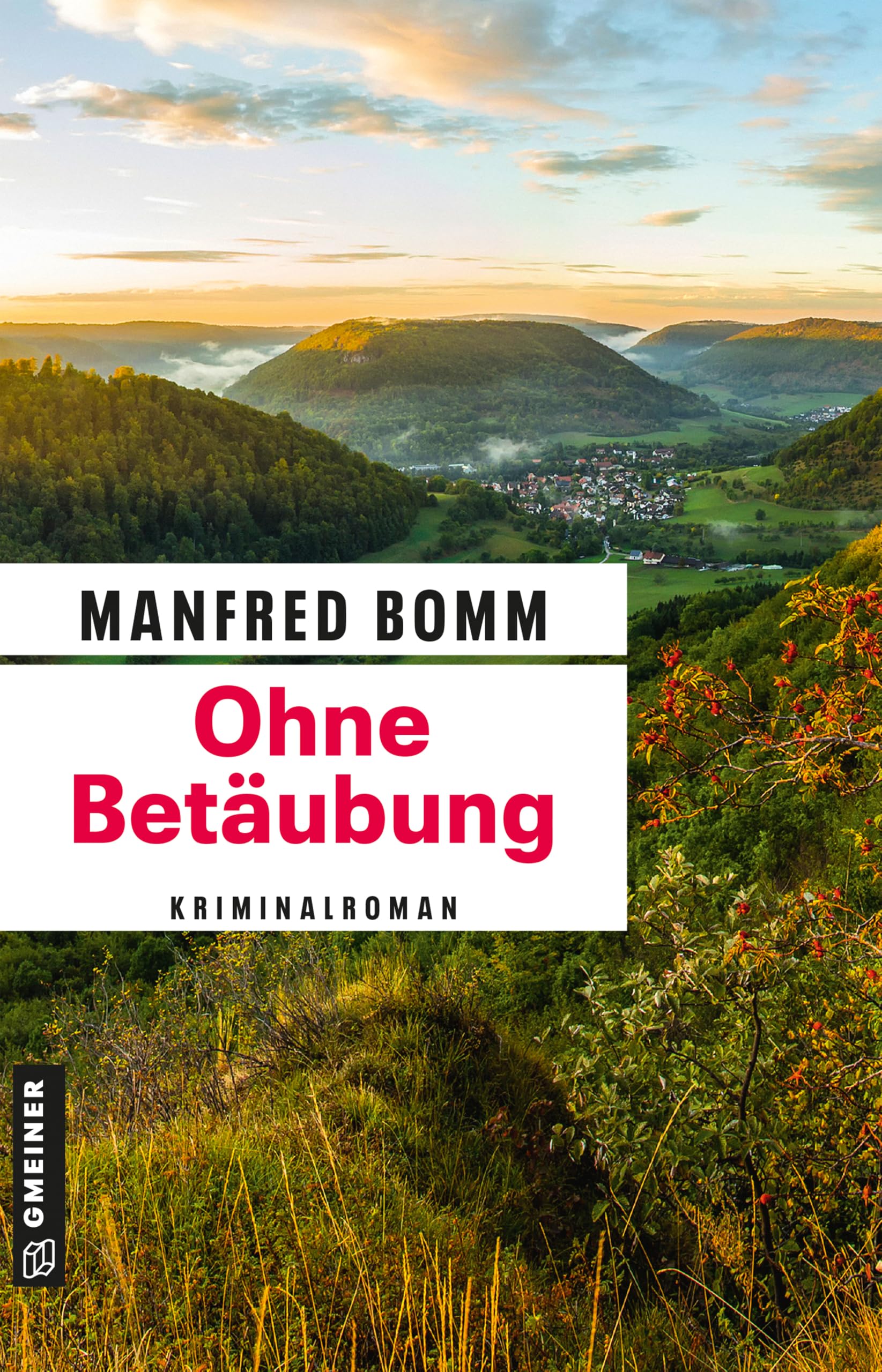 Ohne Betäubung: Kriminalroman (Kommissar August Häberle 23)
