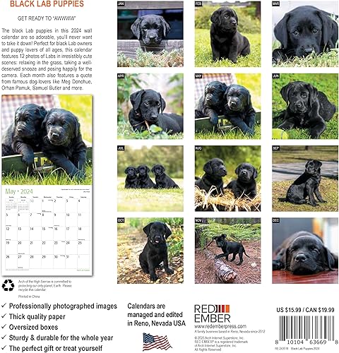 Miniatura 2 de RED EMBER Black Lab Puppies - Calendario mensual de pared colgante 2024  12 x 24 pulgadas abierto  Papel grueso y resistente  Regalo  Lindo perro