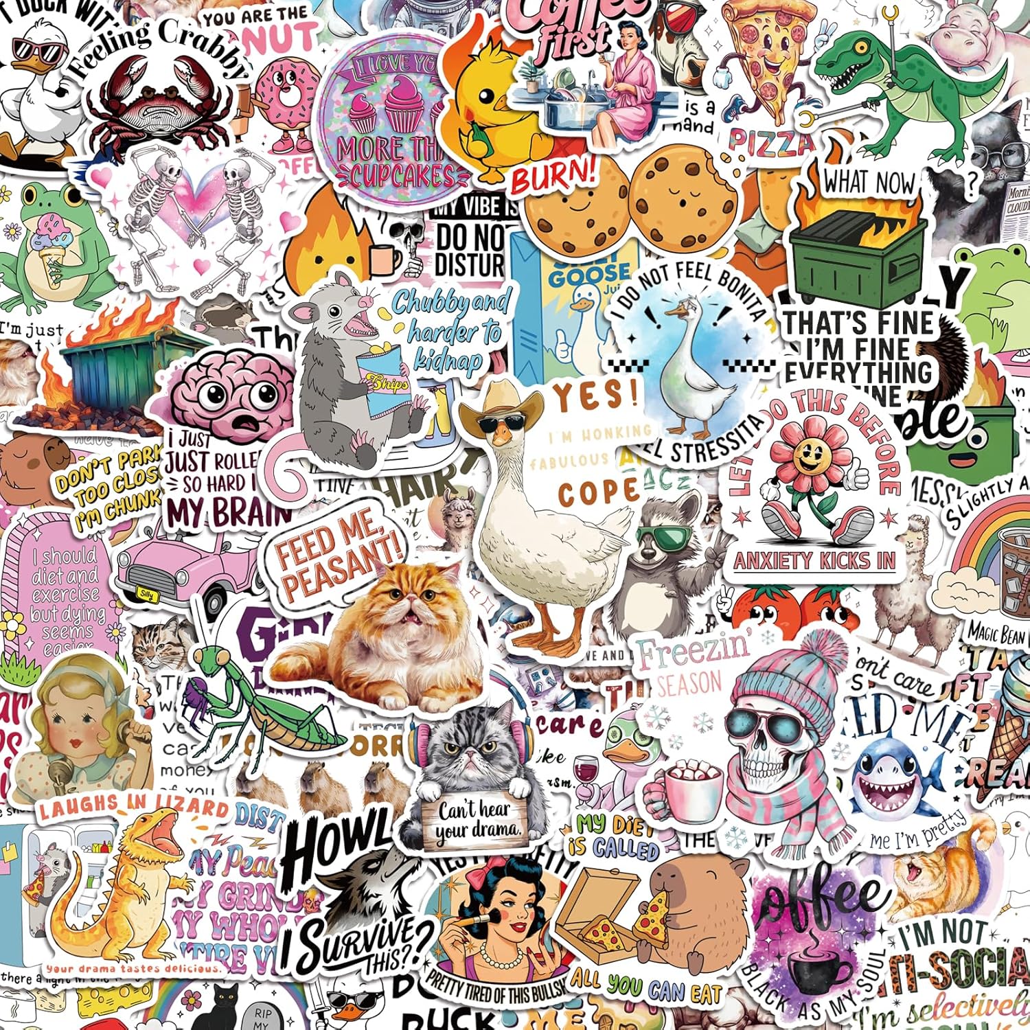 300 Pcs Funny Stickers for Adults, Waterproof Hard hat Stickers, Vinyl Sarcastic Meme Decals for Bumpers, Kindle, Journal, Scrapbook, Skateboard, Luggage, Featuring No Repeats
