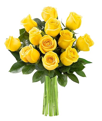 Miniatura 12 de KaBloom ENTREGA PRIMA AL DÍA SIGUIENTE - Colección Otoño - Ramo de 18 Rosas Naranja Frescas Cortadas (Frescas de Granja, Tallo Largo) con Jarrón.