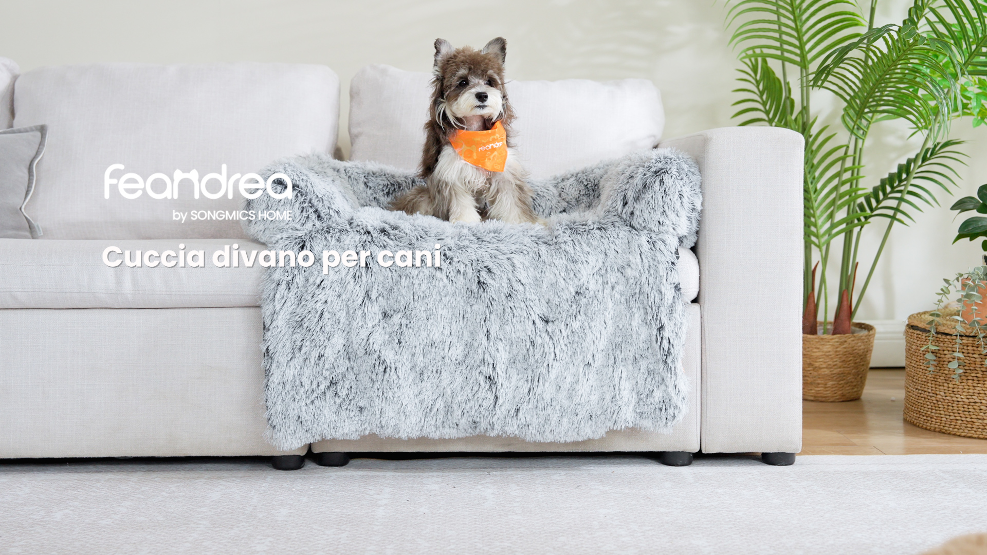 Cuccia Per Cani Taglia XXL Feandrea - Divano Morbido Per Cani Grandi