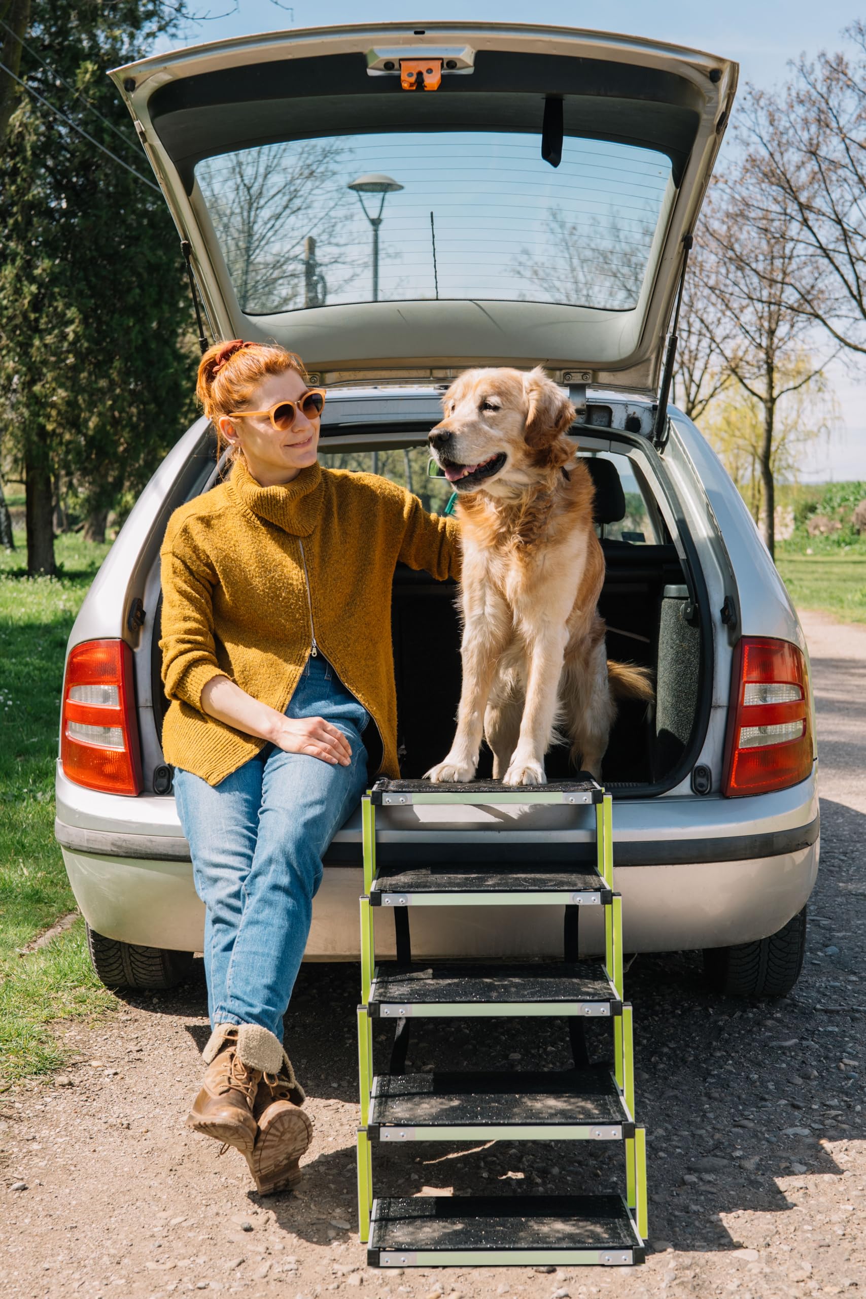 Escaleras para Perros Pequeños o Grandes PRIORPET - Marca Que Brilla en la Oscuridad - Rampa de Coche Plegable - Adecuada para Todos los Coches - Superficie Antideslizante - 5 Escalones