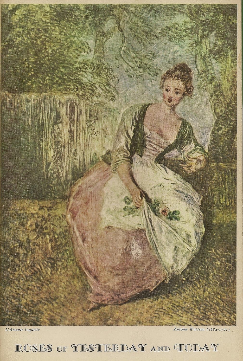 Roses of Yesterday and Today 1959 Will Tillotson Books