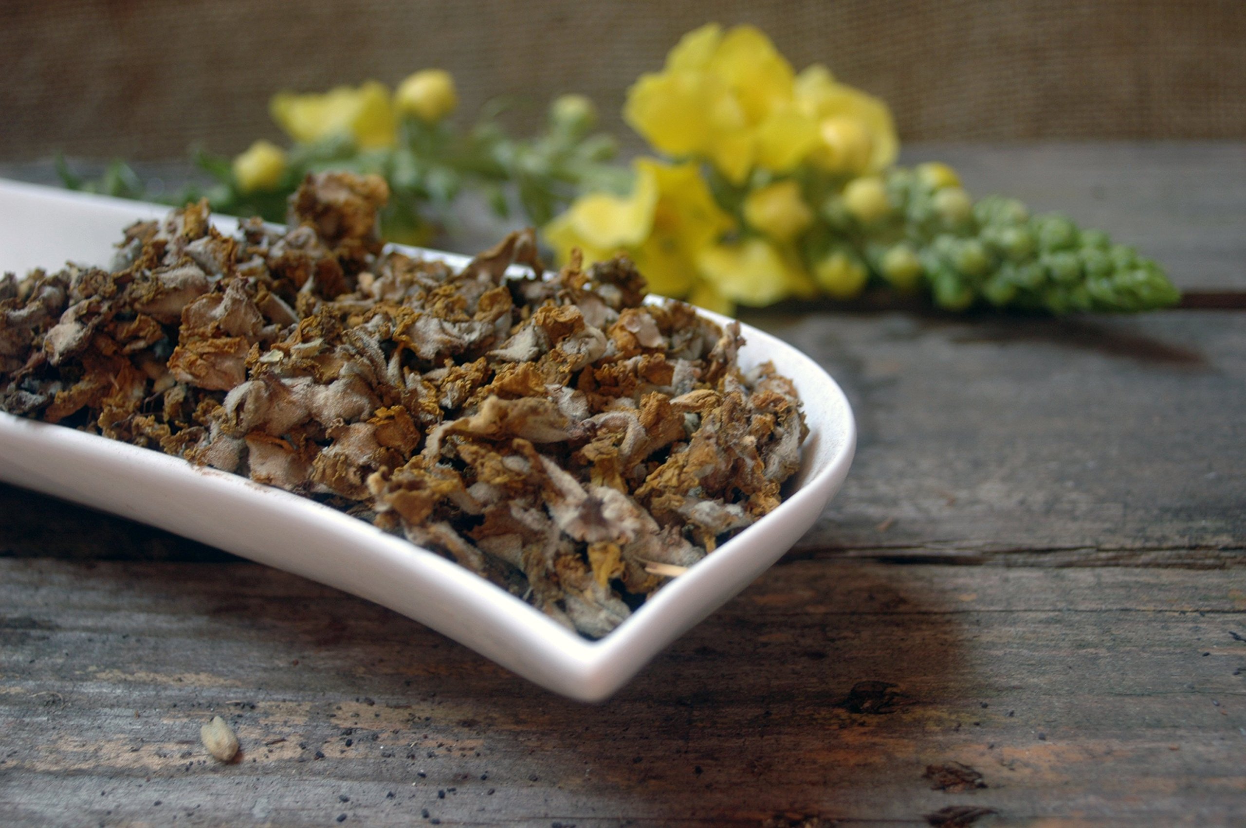 Naturix24 – Królewska herbata kwitnąca świeca, kwiaty królewskie – 1 opakowanie