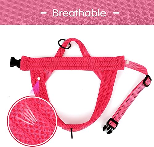 Miniatura 10 de Didog Arnés sin tirones para perro, con acolchado de malla suave, reflectante y de ajuste rápido, ligero, chaleco con correa para perro, fácil para