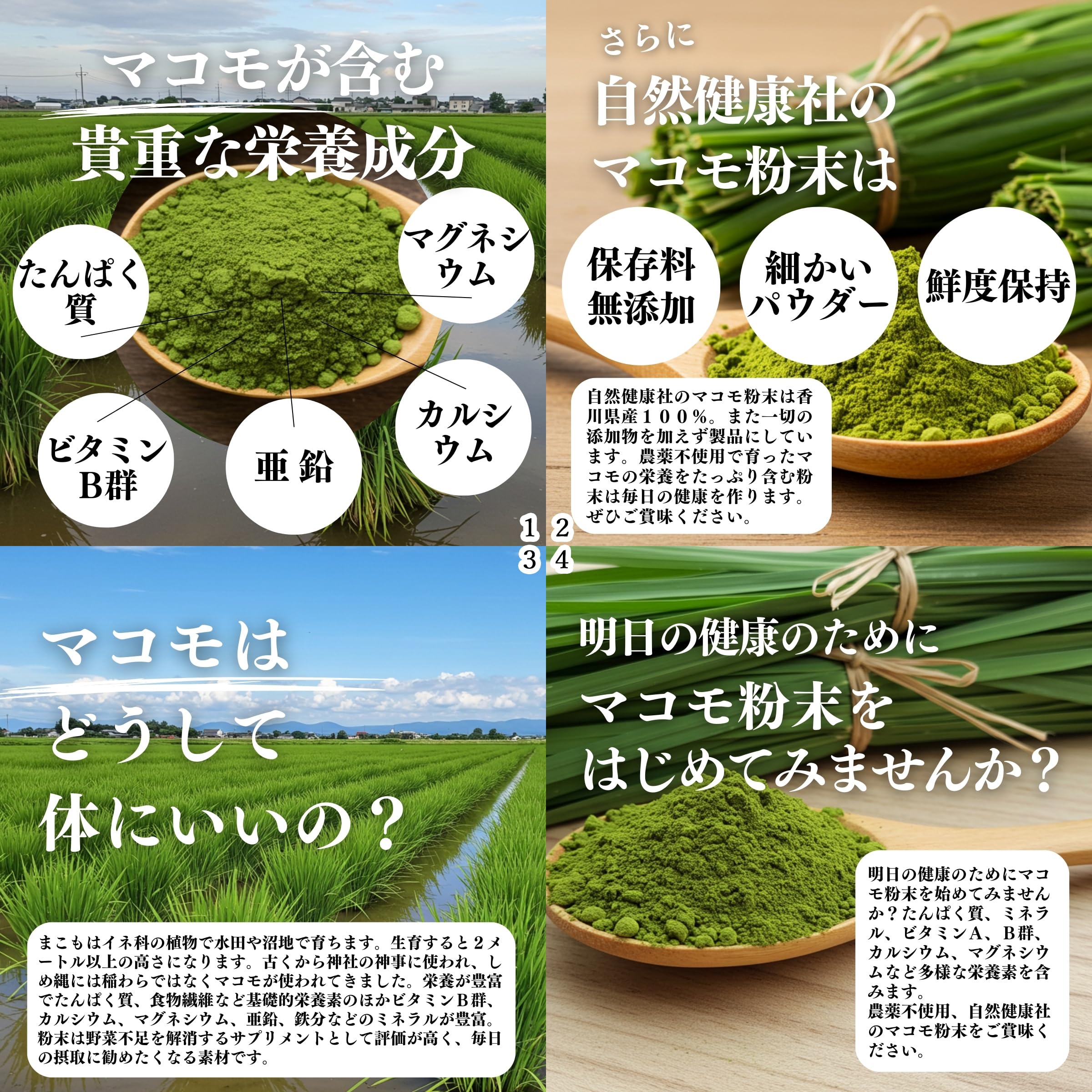 Amazon.co.jp: 自然健康社 まこも粉末 800g×4個 パウダー 農薬不使用