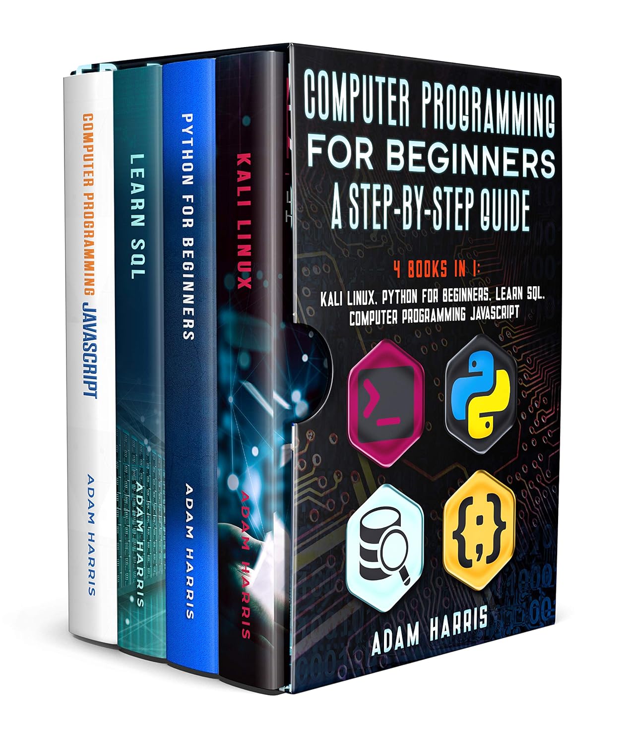 Computer programming for beginners a step-by-step guide: 4 books in 1 ...