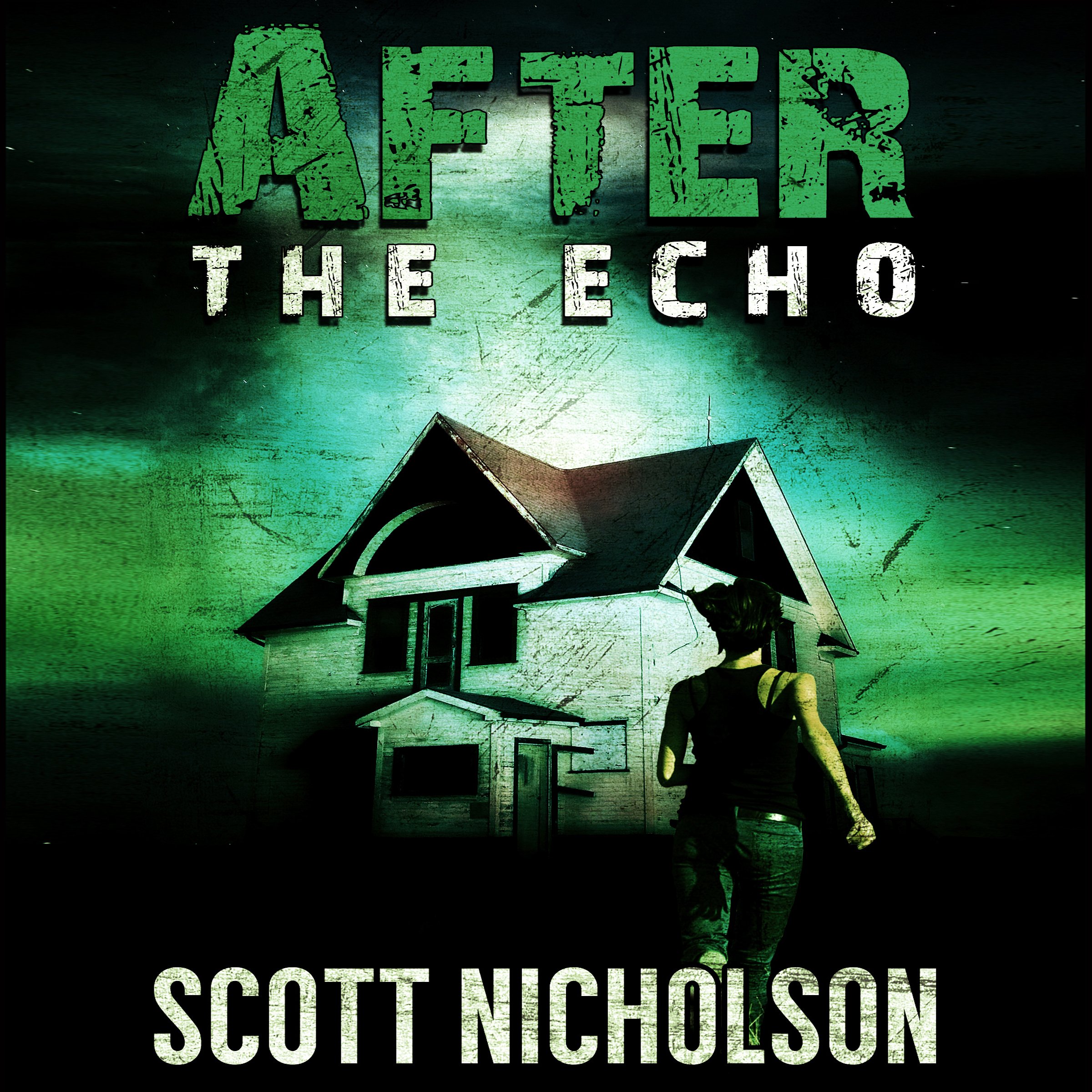 Cover art for After: The Echo