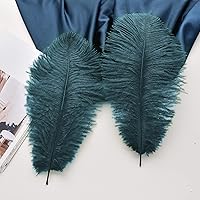 Vista 82 de 24 piezas de plumas de avestruz blanco natural de 10-12 pulgadas (25-30cm) para centros de mesa de bodas y fiestas, arreglos florales y decoración