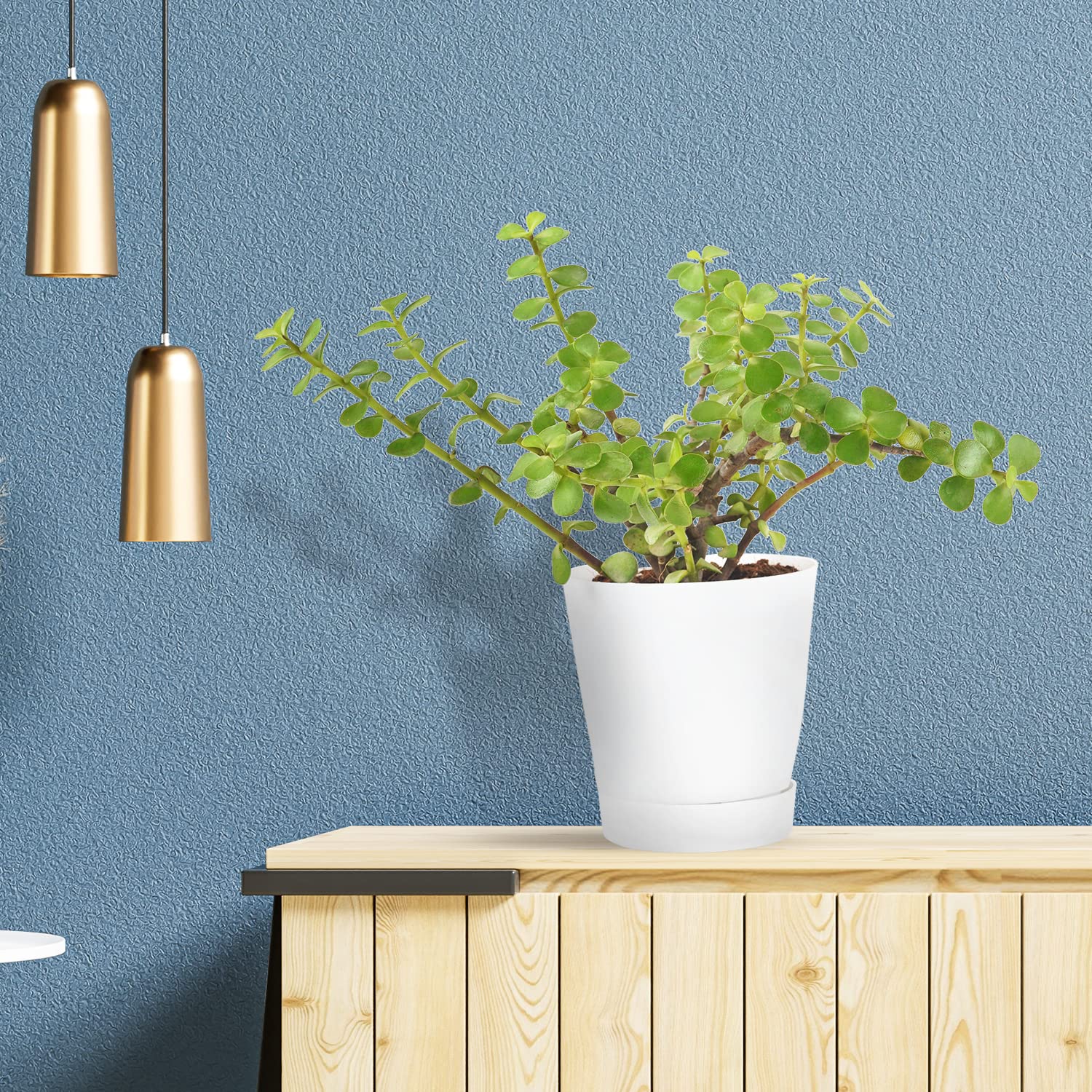 Plant A Leaf Live Good Luck Jade Crassula Ovata Live Indoor Plant with Self Watering Pot for Living Room/Kitchen/Bedroom, & Office Table/House/Home Decoration (Pack Of 1) (B0B74GW2PK) Amazon Price History, Amazon Price Tracker