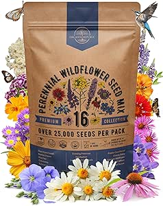 Wildflower Seeds Annual & Perennial Mix for Planting Indoor & Outdoors, Attract Birds & Butterflies 100,000+ Non-GMO, He