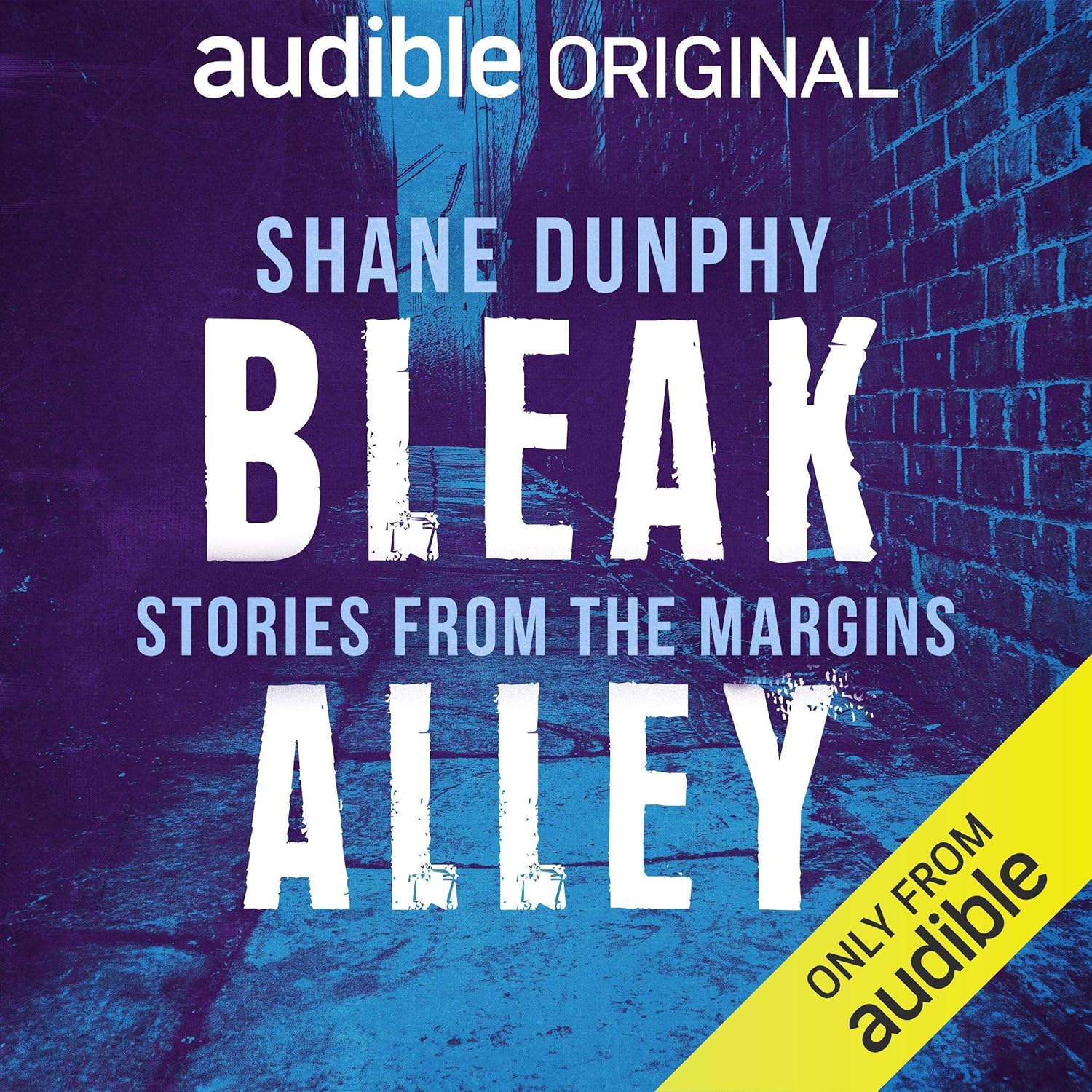 Bleak Alley: Stories from the Margins