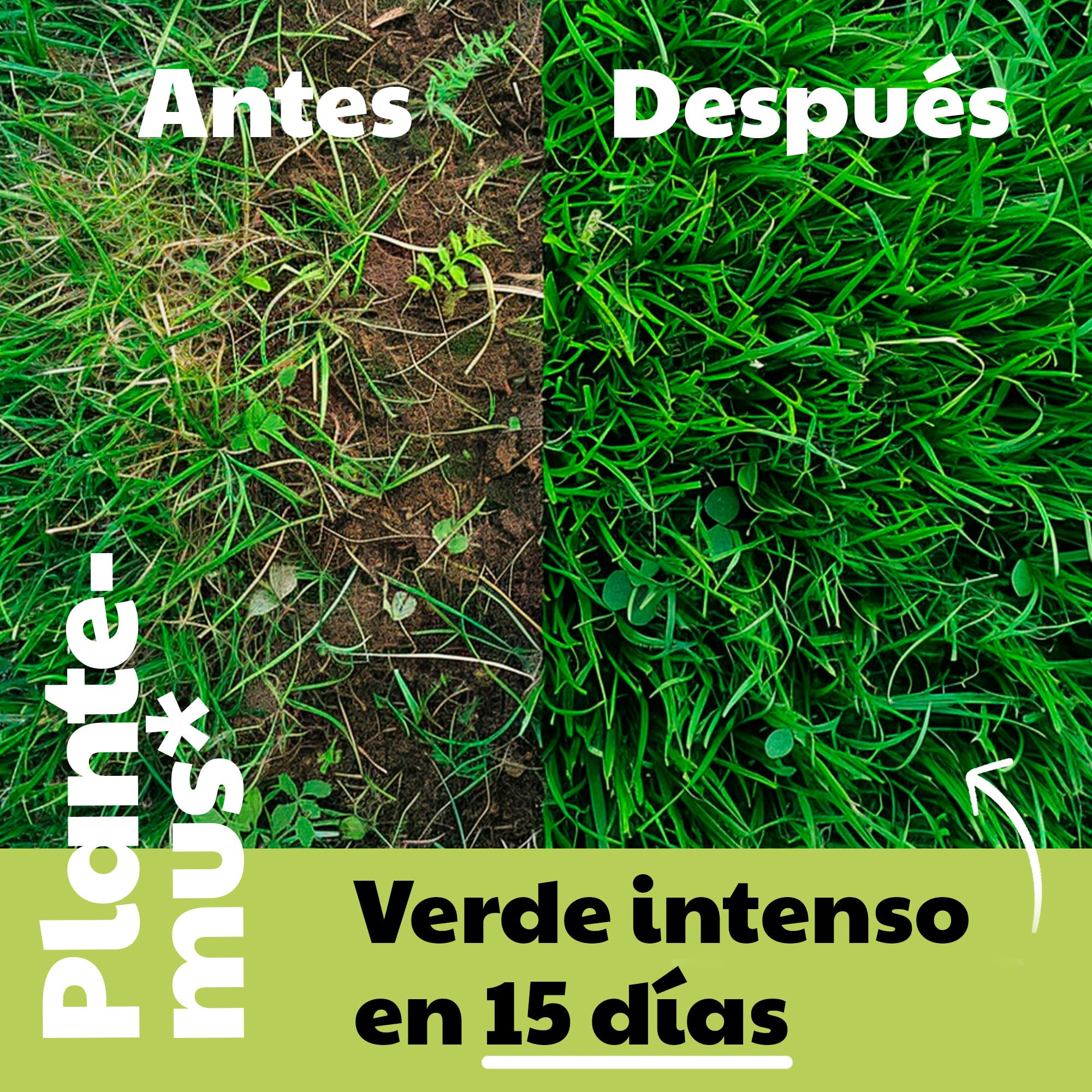 PLANTEMUS Abono Césped Efecto Verde Turbo para 175 m² Microcristales Ultrasolubles | Verde Intenso 7-9 Días | Fertilizante Nitrogenado - Tecnología Alemana 5.5 KG