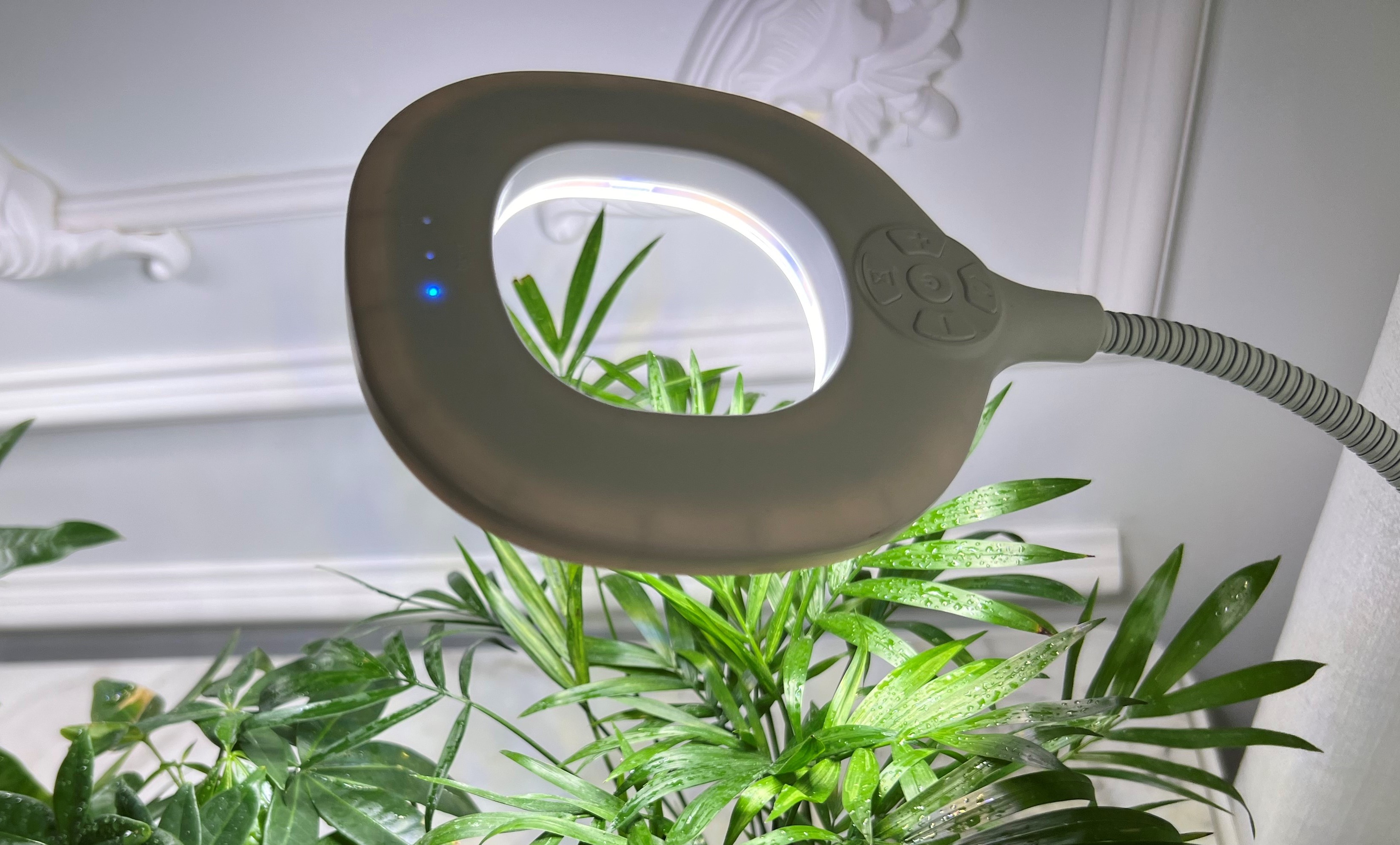 Amazon.com : Grow Lights for Indoor Plants Full Spectrum, Clip On
