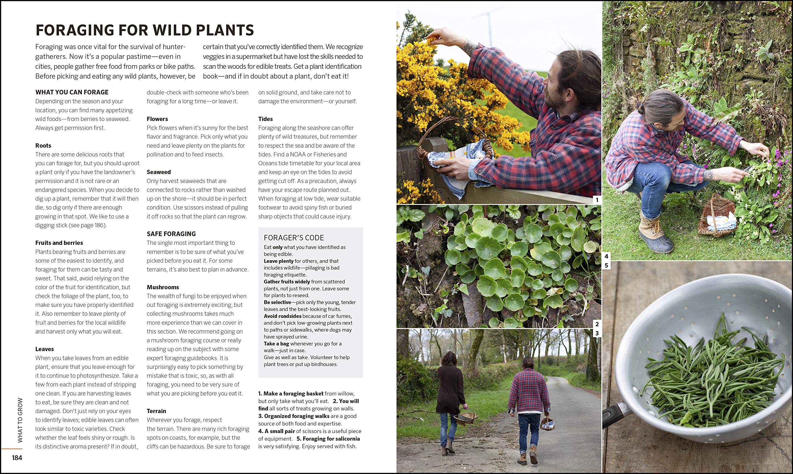 Self-Sufficiency for the 21st Century: The Complete Guide to Sustainable Living Today - Image 6