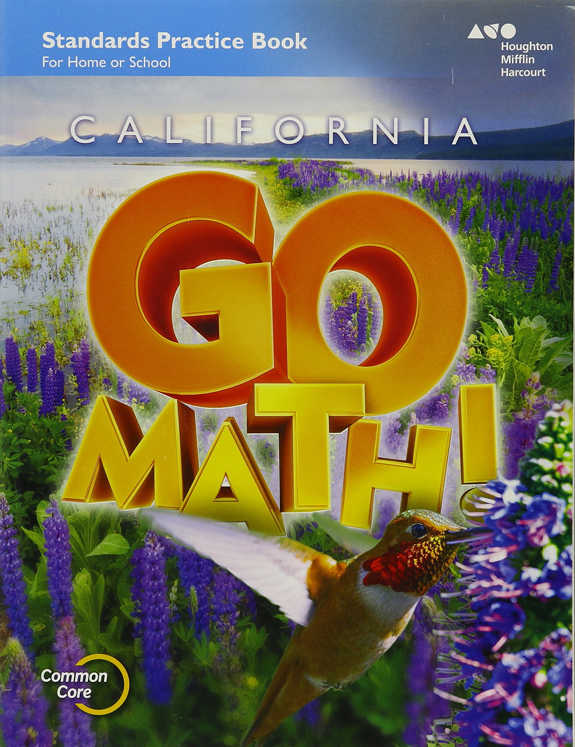 Practice Workbook Grade 4 (Houghton Mifflin Harcourt Go Math!)