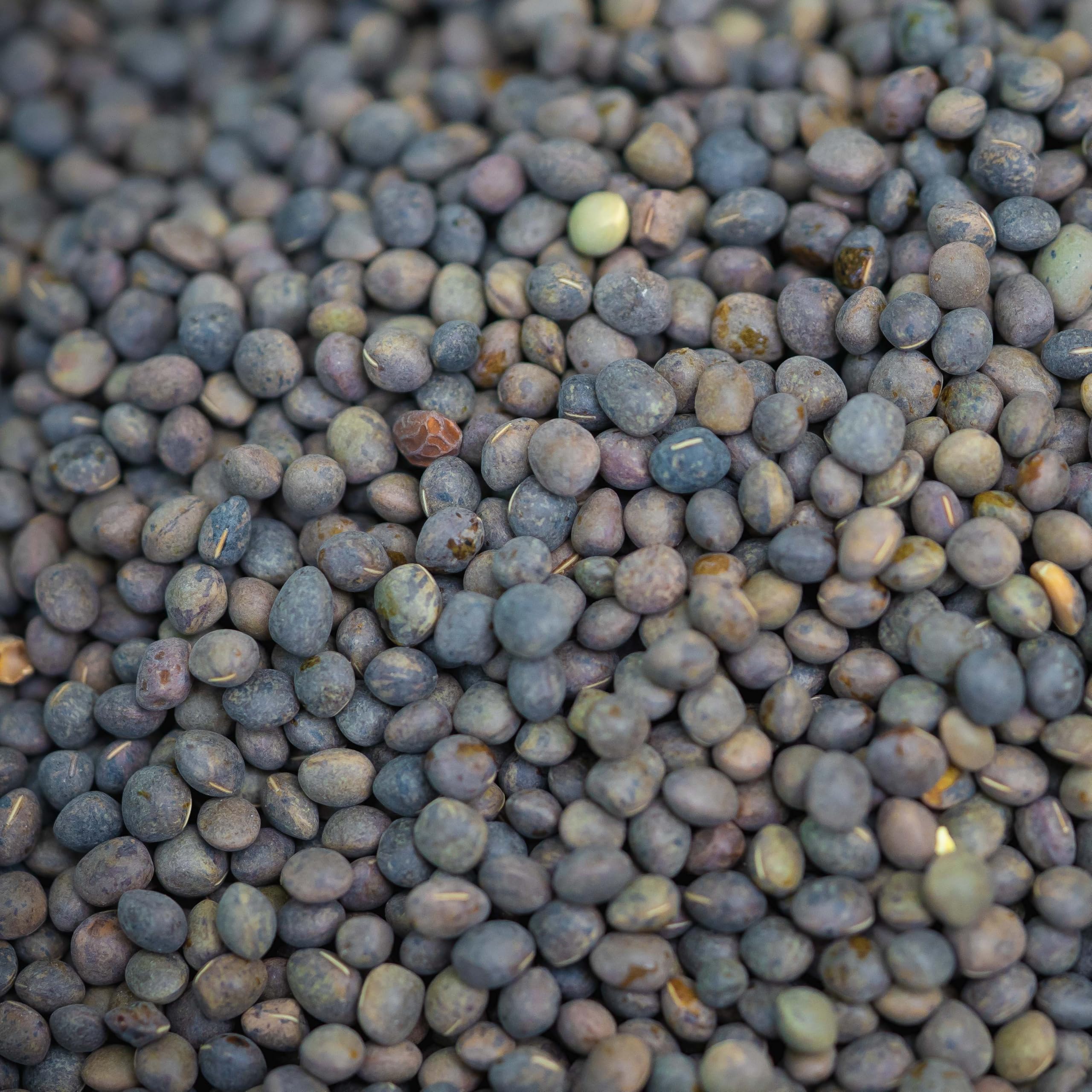 Dry Tares for use in carp fishing - 5KG - UNPRPARED