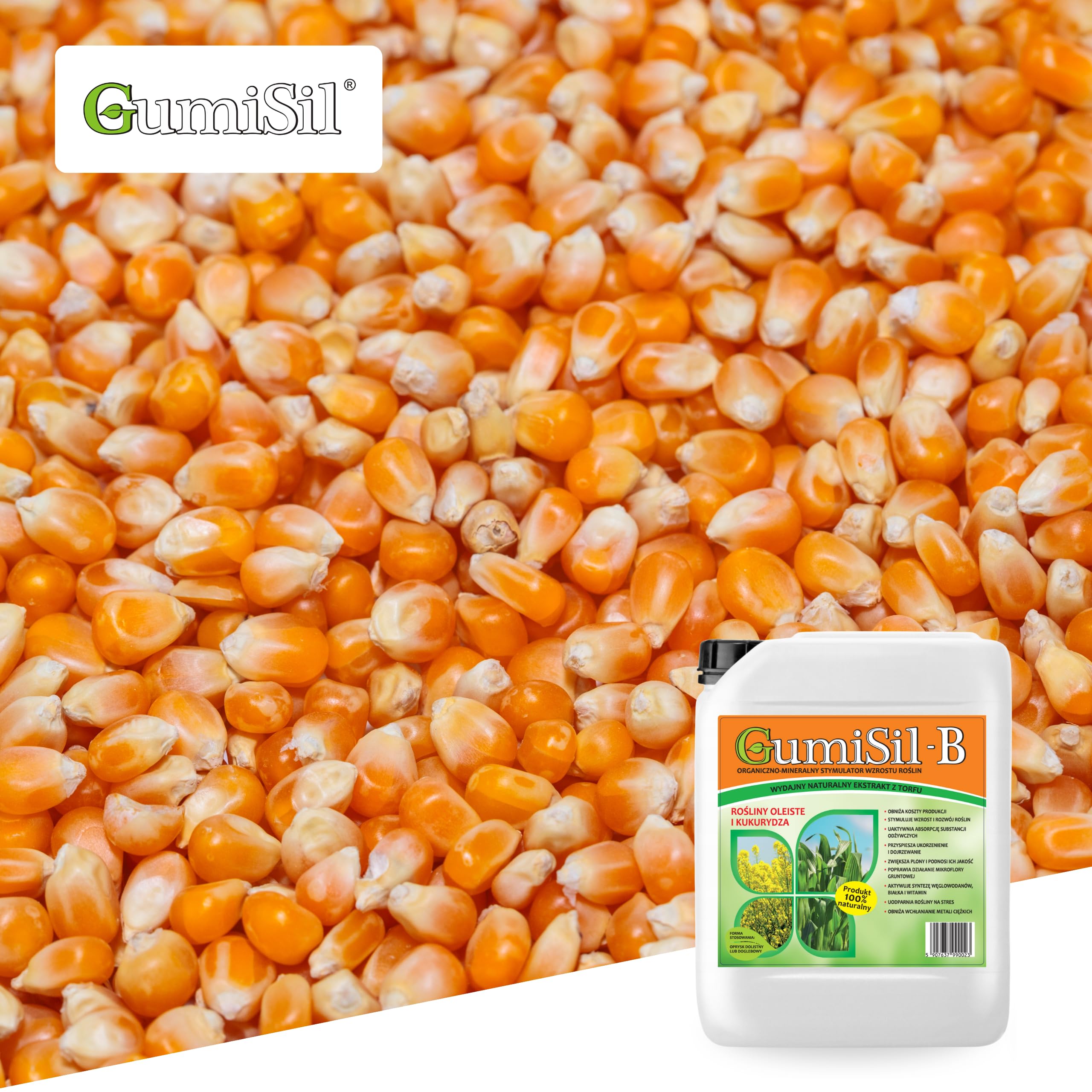B – Biostymulator do Roślin Oleistych i Kukurydzy – 10L