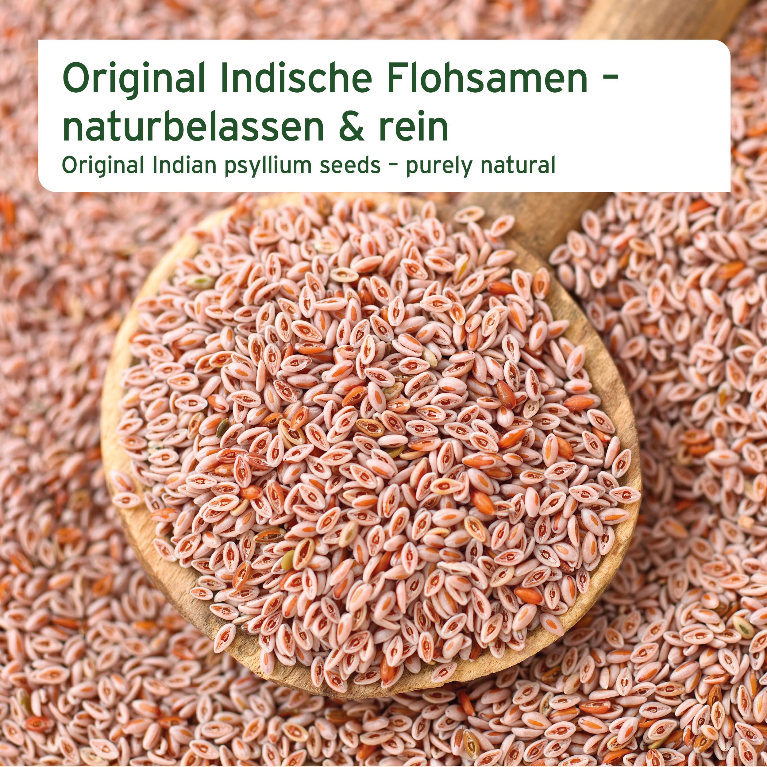 AniForte Flohsamen Pferd 3kg – Indische Flohsamenschalen & Psyllium bei Kotwasser, Sandkoliken & Verstopfung, für Darmreinigung & Verdauung, optimiert Kotbeschaffenheit, Rohkost-Qualität