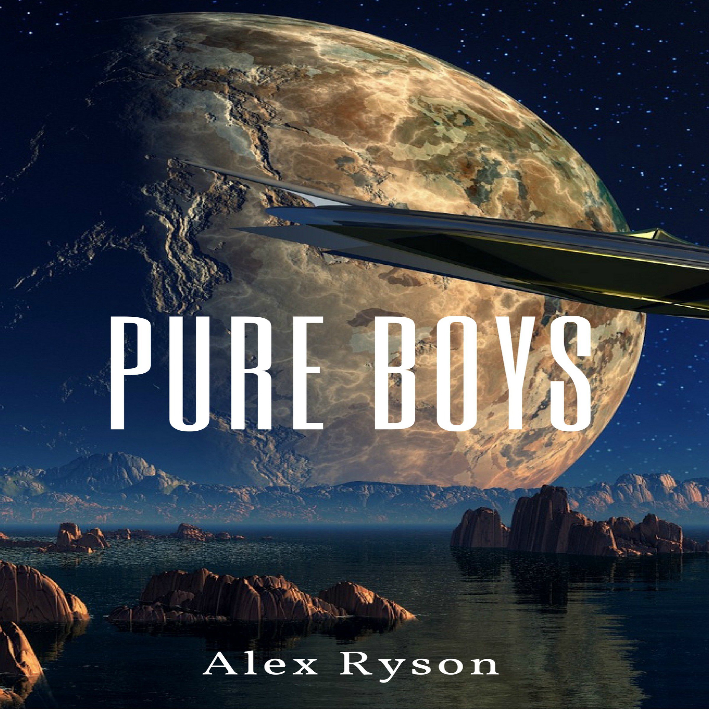 Cover art for Pure Boys