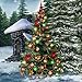 Hidden Garden Christmas