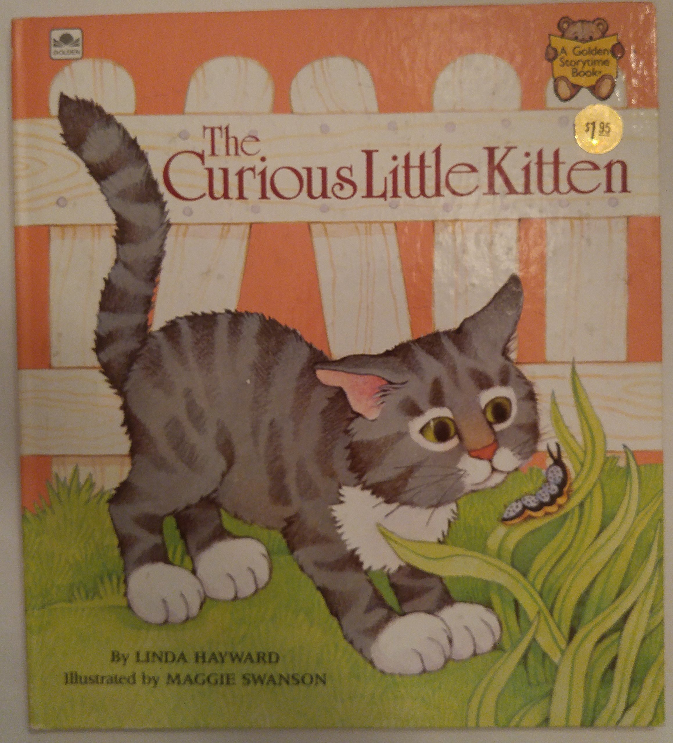 Buy The Curious Little Kitten (Golden Storytime Book) — BookShops.in