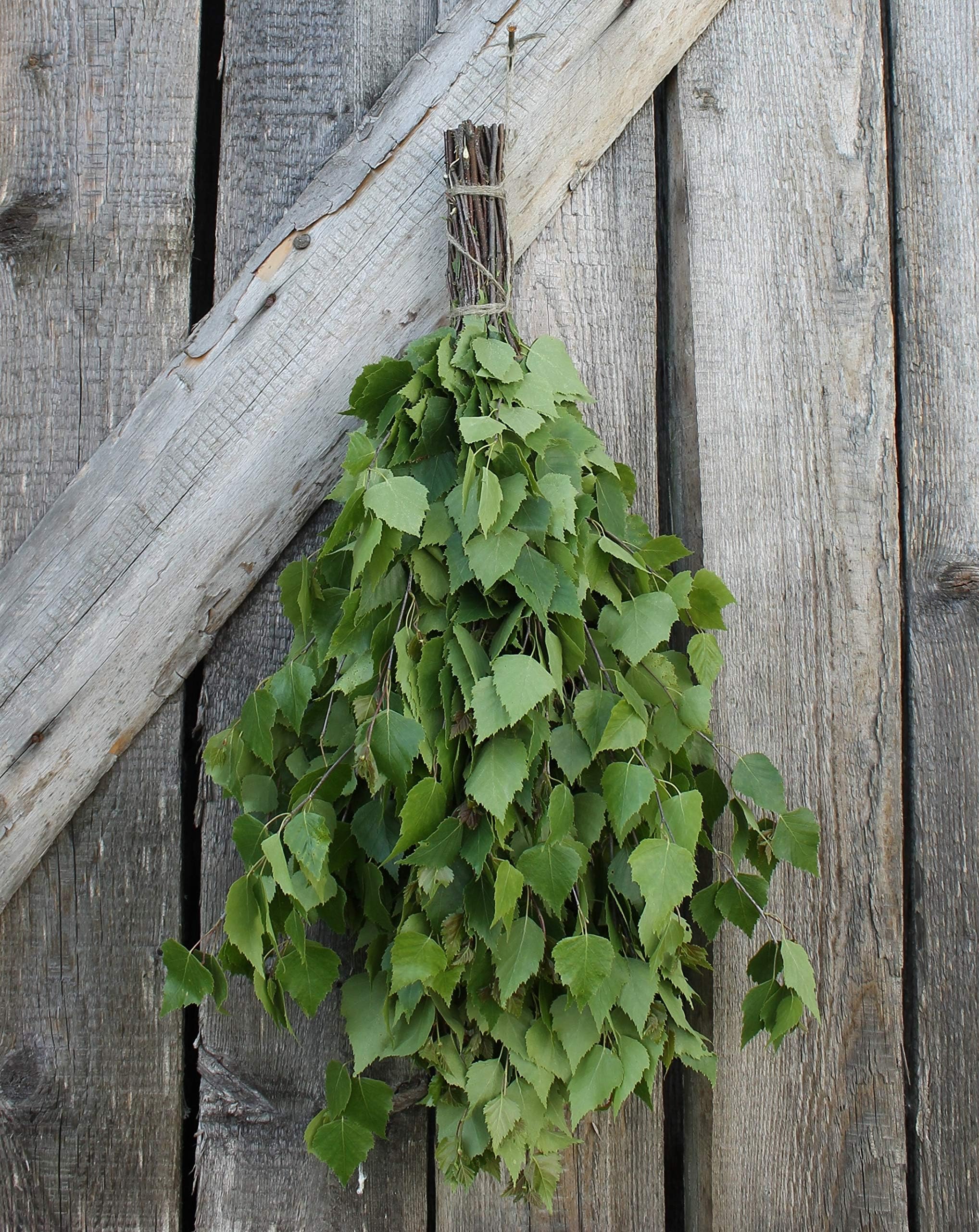 Birch Sauna Whisk Venik Broom Season 2020 SaunaGoods Organic Massage Banya Wenik Natural Bath House (1 Sauna Whisk)