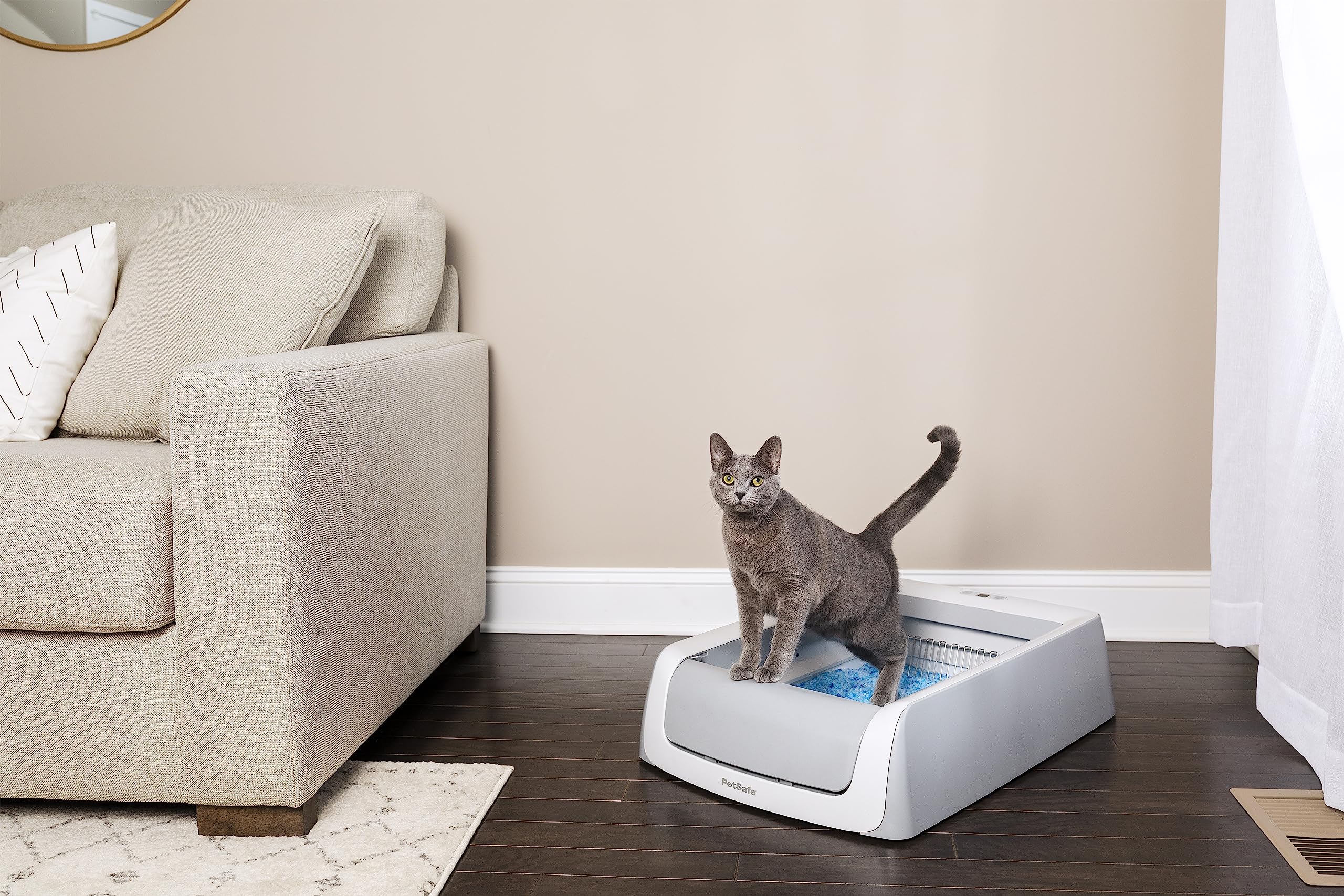 PetSafe - ScoopFree - Lettiera Autopulente per Gatti PetSafe ScoopFree, Seconda Generazione - Nessuna Paletta, Controllo Superiore degli Odori, Monitoraggio della Salute