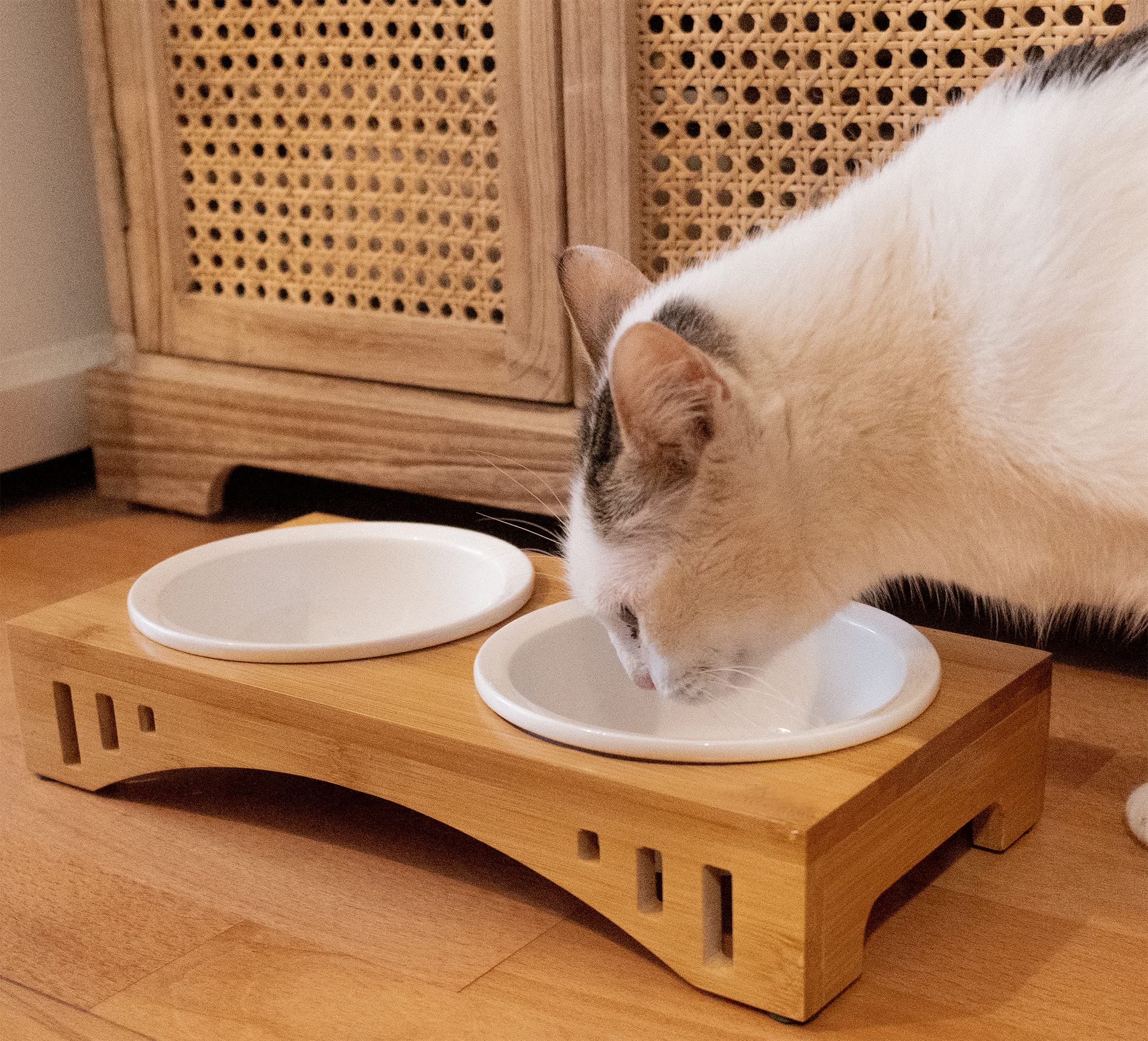 NORDICAT Comedero y Bebedero Gato con Soporte Elevado, Doble Cuenco Ceramica y Bambu Extraible Antideslizante, Accesorios en Madera Nordicat Ideal para Gatos o Perros Pequeños