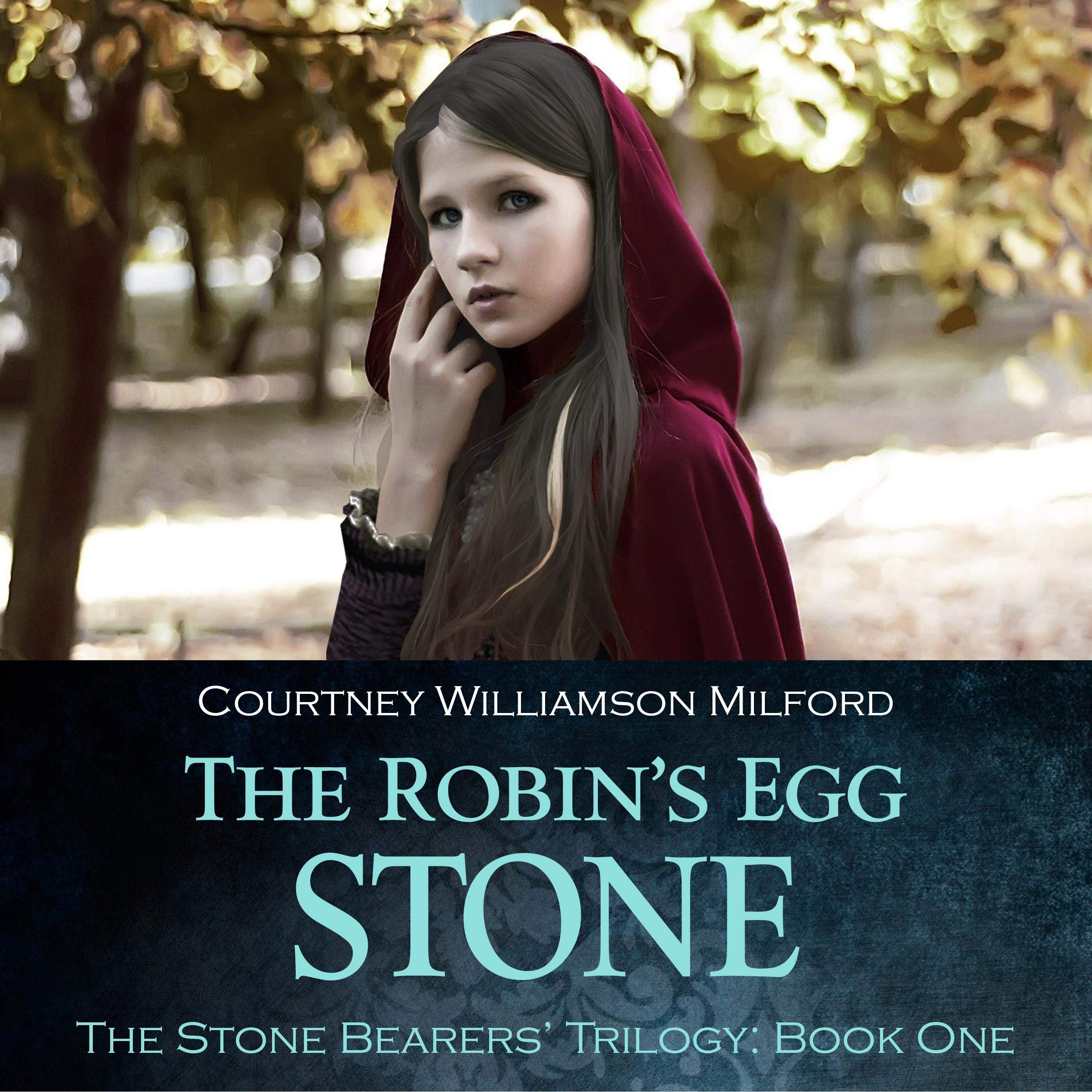 Cover art for The Robin's Egg Stone