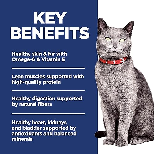 Miniatura 4 de Hill's Science Diet Senior 7+ Alimento seco para gatos sin maíz, trigo o soja, receta de pollo, bolsa de 7 libras