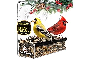 Gray Bunny Clear Window Bird Feeder - Make Your Bird Watching Easier