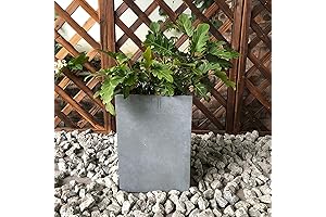 guagndong creative stone garden decoration co.,ltd - Lightweight Concrete Tall Planter