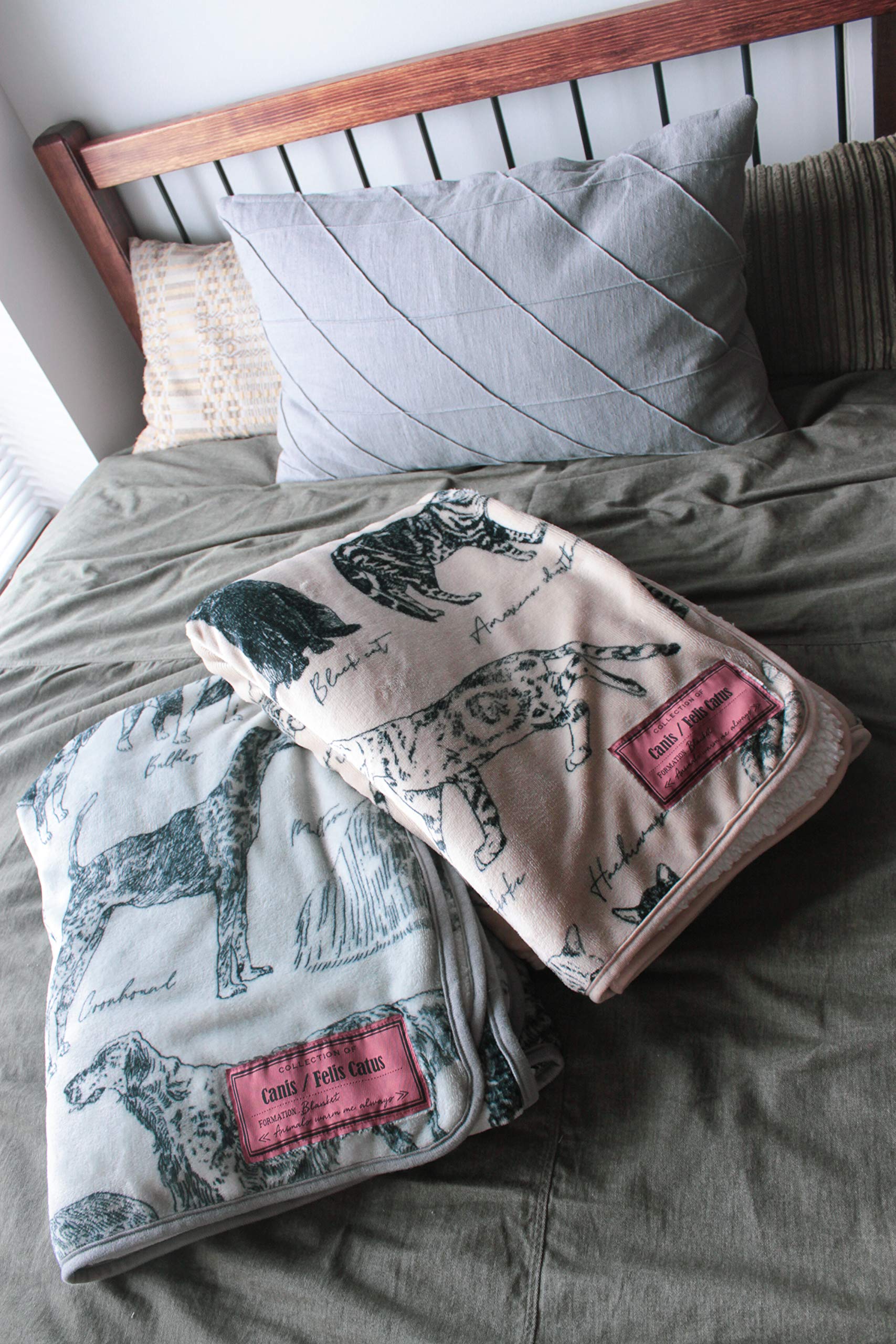 Amazon.co.jp: [Key Stone] ブランケット SE048226 ブラウン