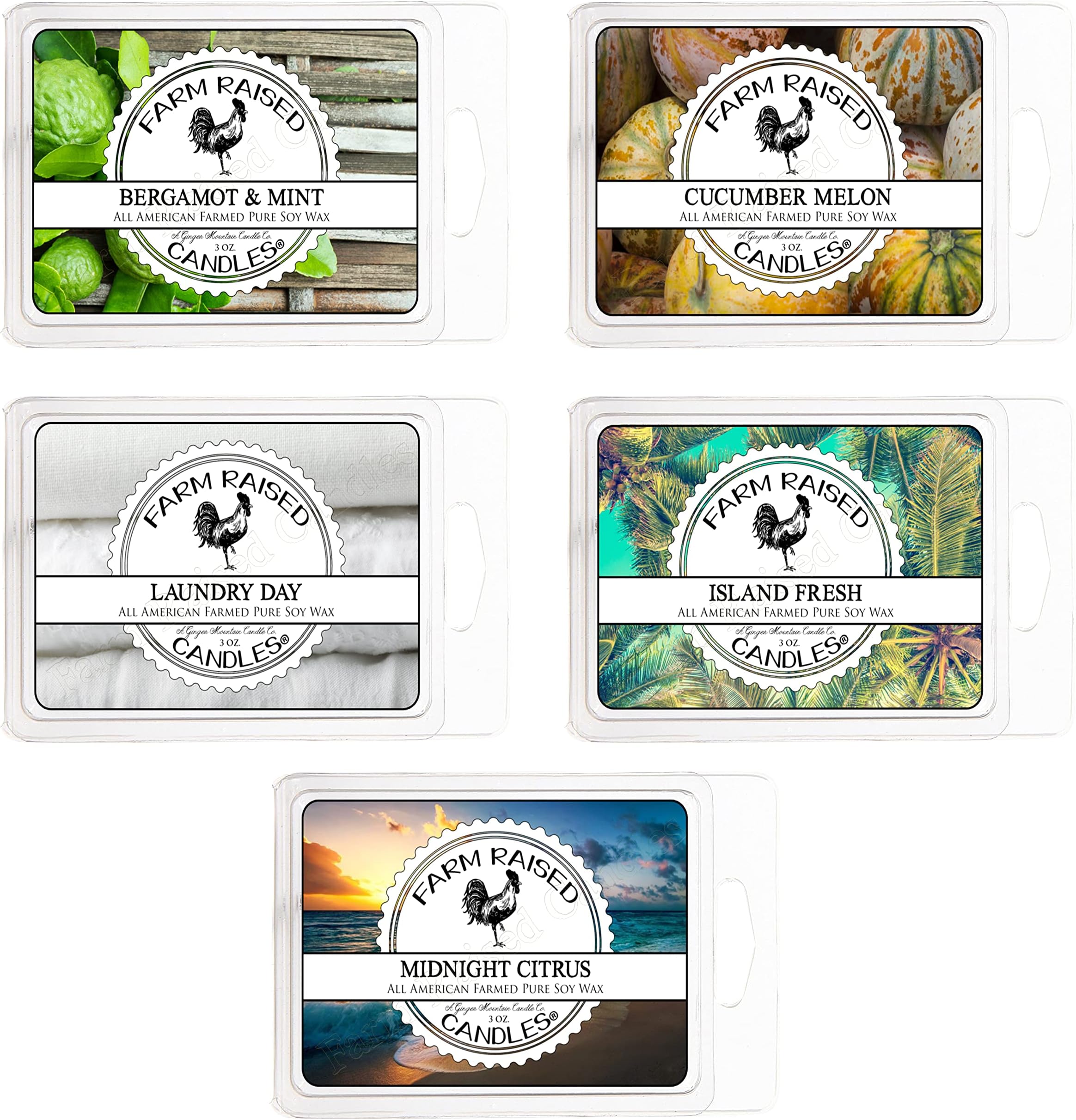 Variety Fresh - Clean, Laundry - 16 Ounce 5 Pack. 100% USA Made Variety Wax Melts - Plant Based Soy