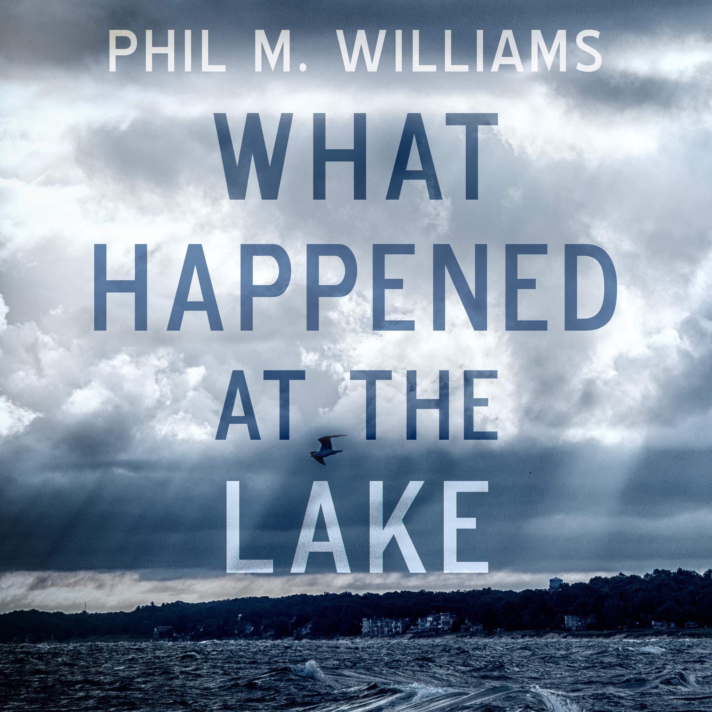 Cover art for What Happened at the Lake