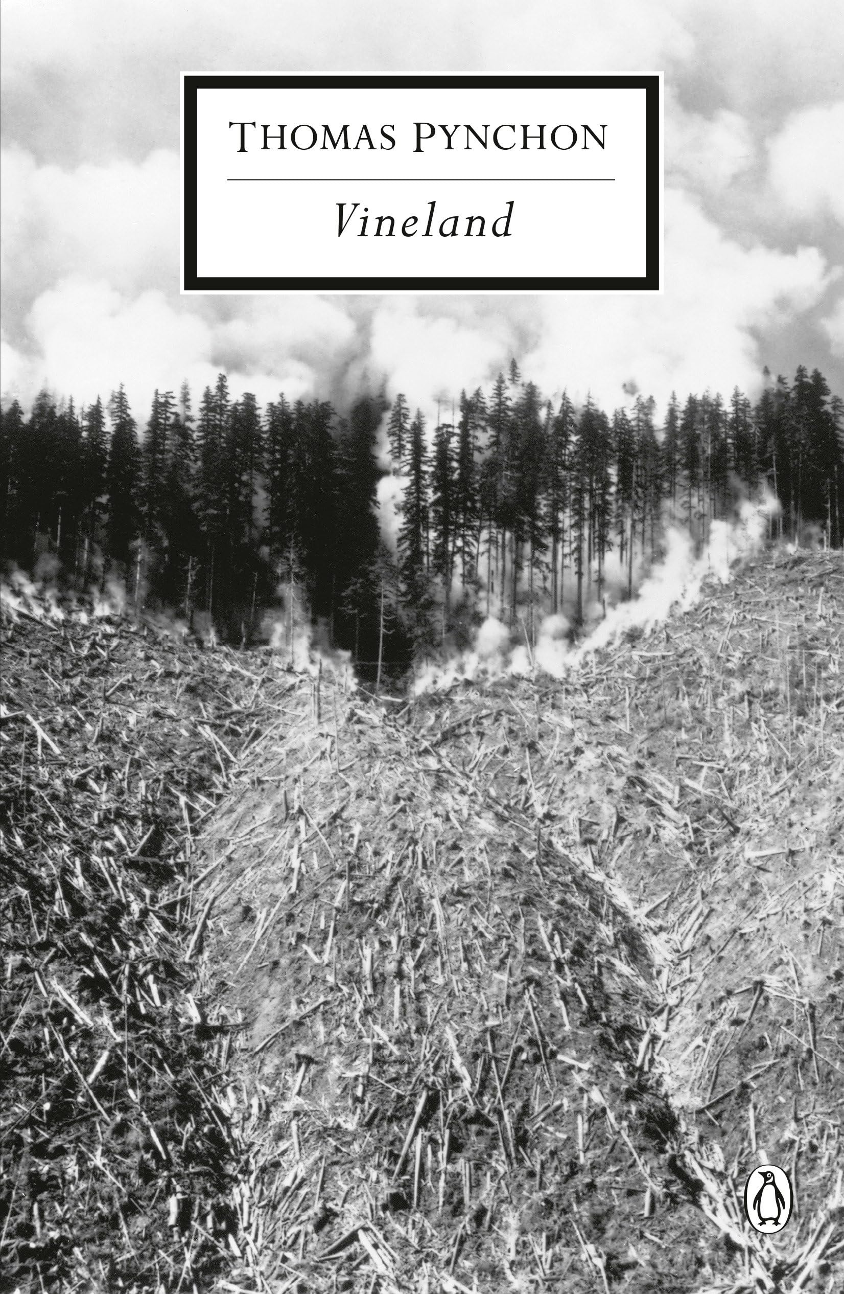 Vineland (Classic, 20th-Century, Penguin) Paperback – September 1, 1997