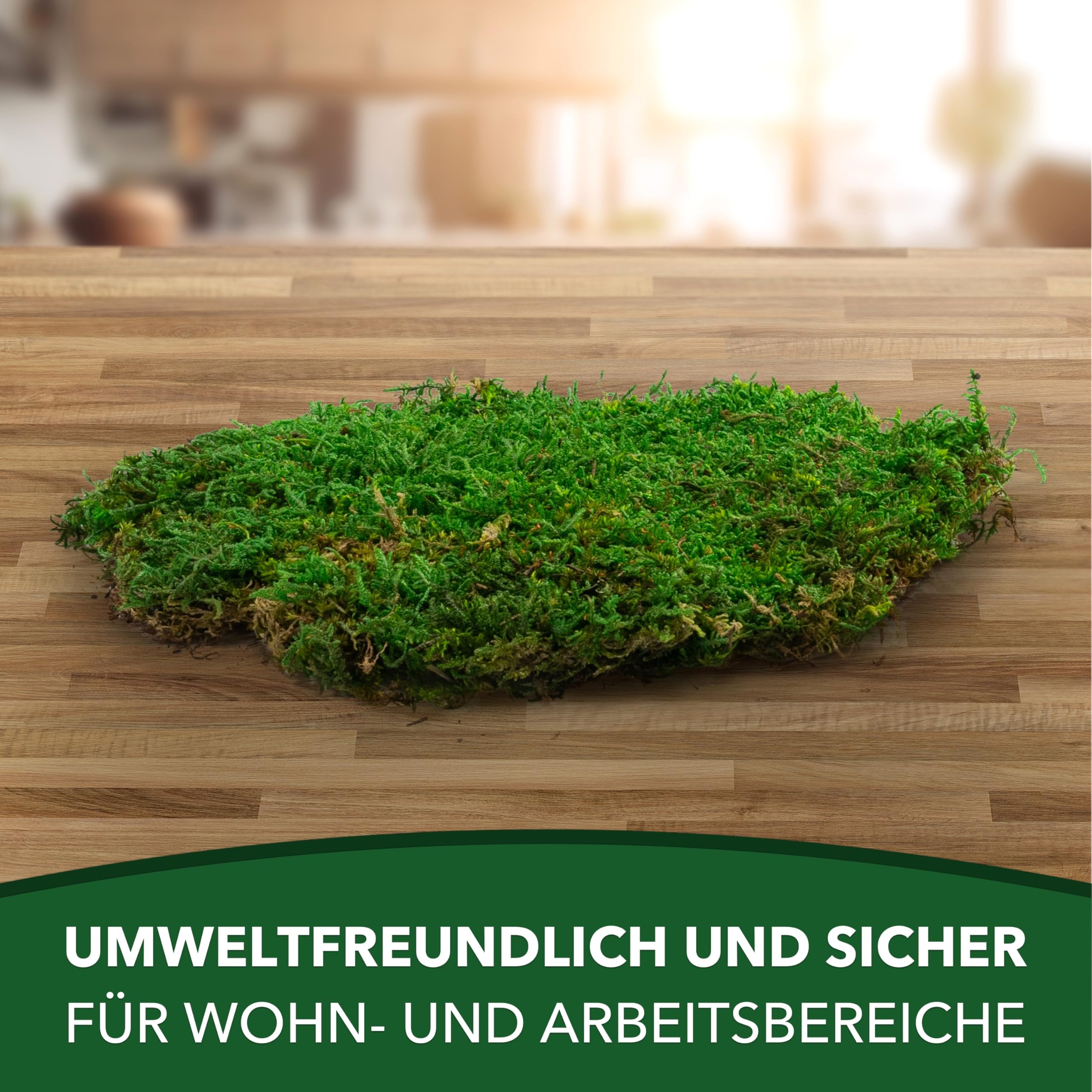 Sphagnum-Shop Plattenmoos konserviert Dekomoos Premium Qualität Grün 750g | Moos für Moosbilder, Moos Deko, DIY Moosmatten oder Moos zum basteln