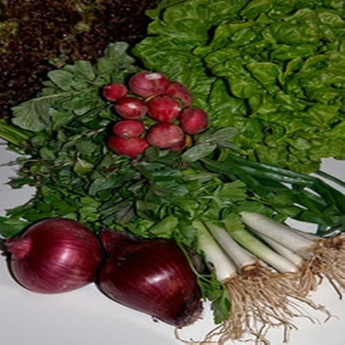 Aloo Kofta Gravy Recipe - //medicalbooks.filipinodoctors.org