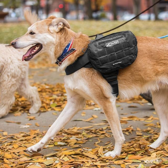 Foto 5 de 8 de Kurgo RSG, Bolsa de Viaje para Perros, Alforja Compatible con el Arnés RSG y el Cinturón Multiusos Active