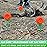 GoSports Outdoors Clay Target Holders - Choose Between Clay Claw Hangers or Clay Caddy In Ground Stakes, Versatile Target Holders for Shooting Practice