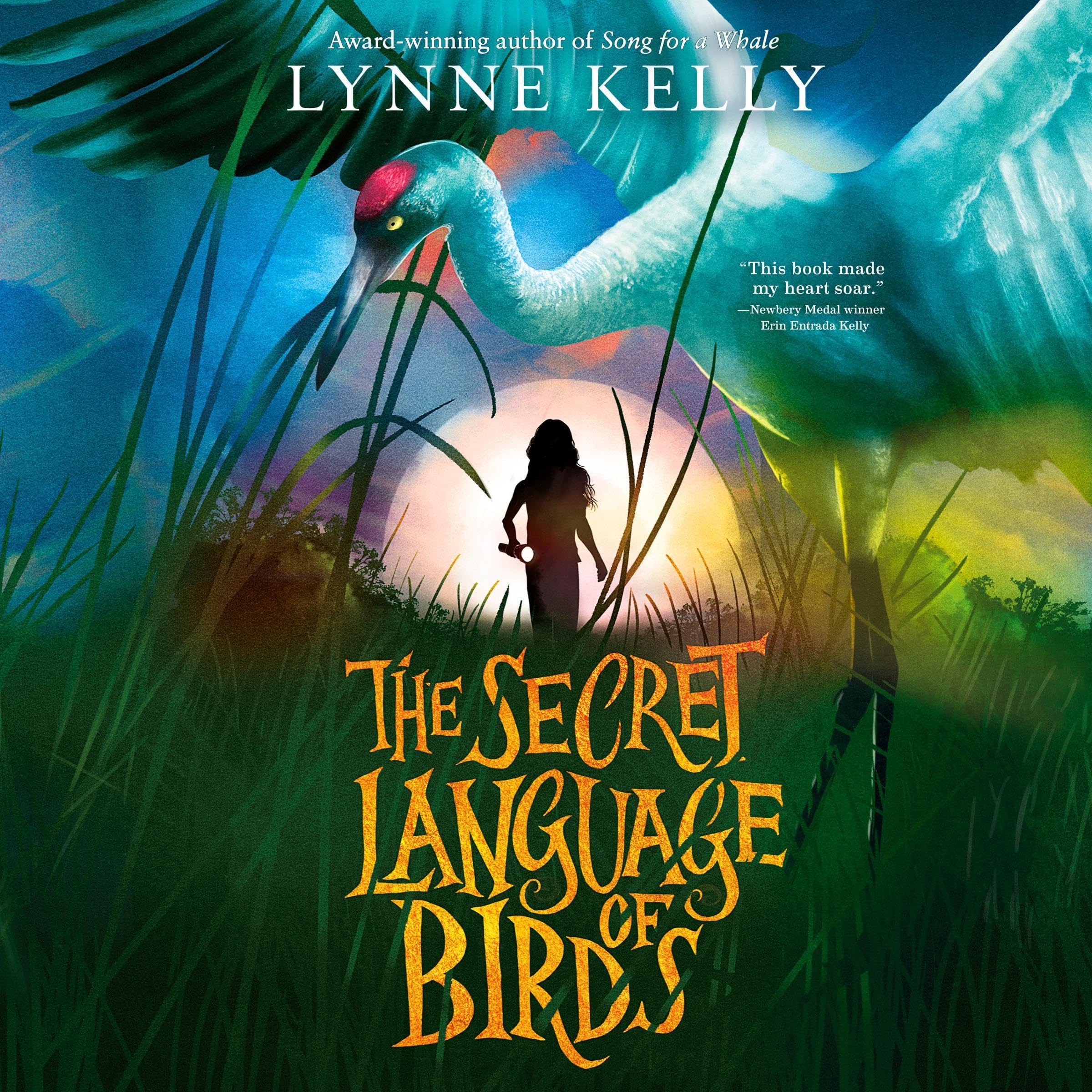 Cover art for The Secret Language of Birds