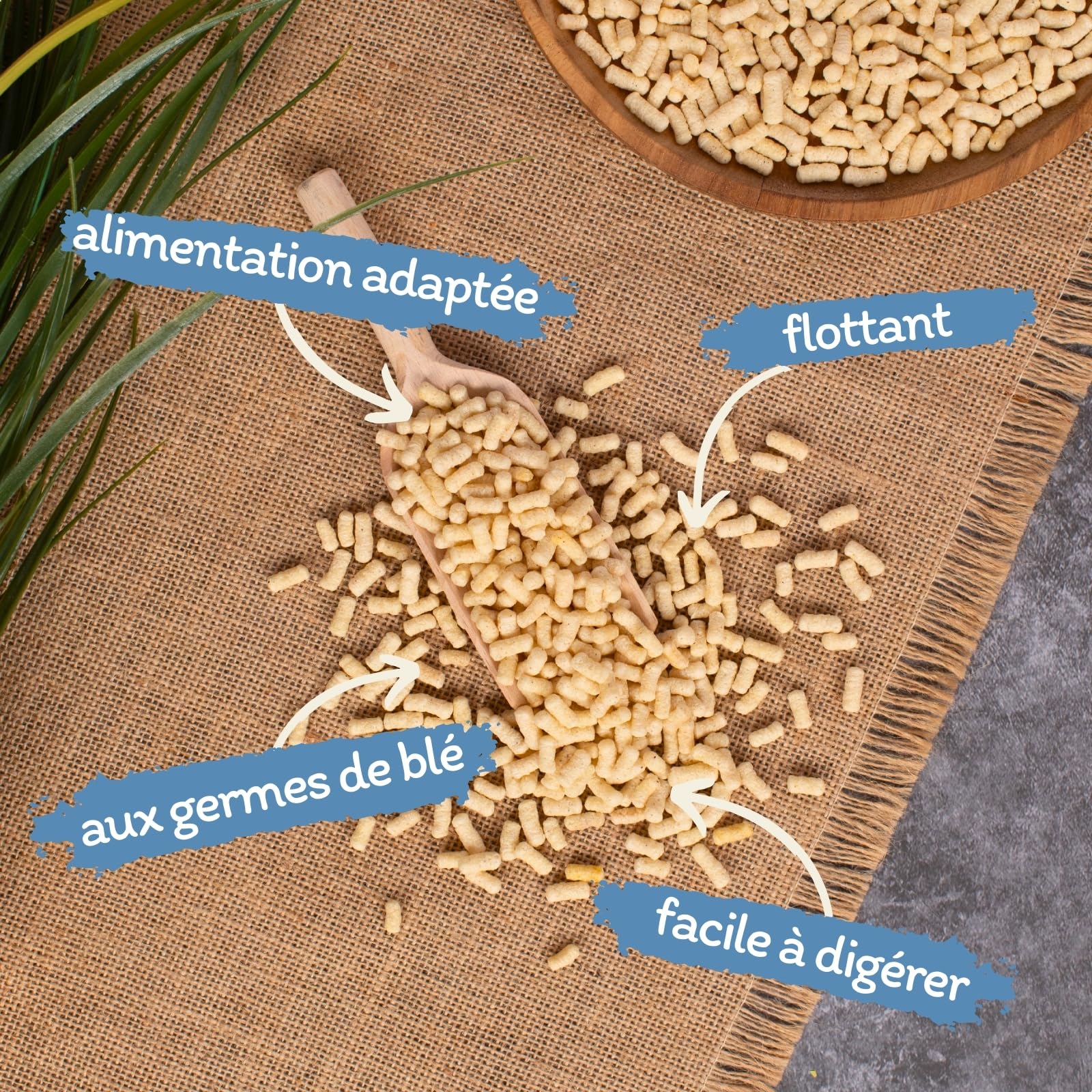 Lyra Pond® 2 x 40 L (6 kg) bâtonnets flottants pour Poissons de Bassin | Aliment flottant pour poissons de bassin | Digeste grâce au germe de blé | Composition adaptée aux poissons