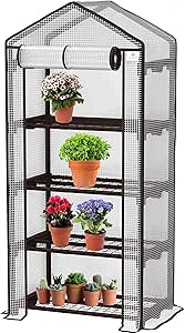 Broeikas Voor Tomaten, 100 X 81 X 150 Cm, Foliekas Met PE Roosterfolie Tuinkas Met Oprolbare Deur Met Ritssluiting Tomatenhuis Klein En Beloopbaar Stalen Frame Transparant Broeikas Voor Tomaten, 100 X 81 X 150 Cm, Foliekas Met PE Roosterfolie Tuinkas Met Oprolbare Deur Met Ritssluiting Tomatenhuis Klein En Beloopbaar Stalen Frame Transparant